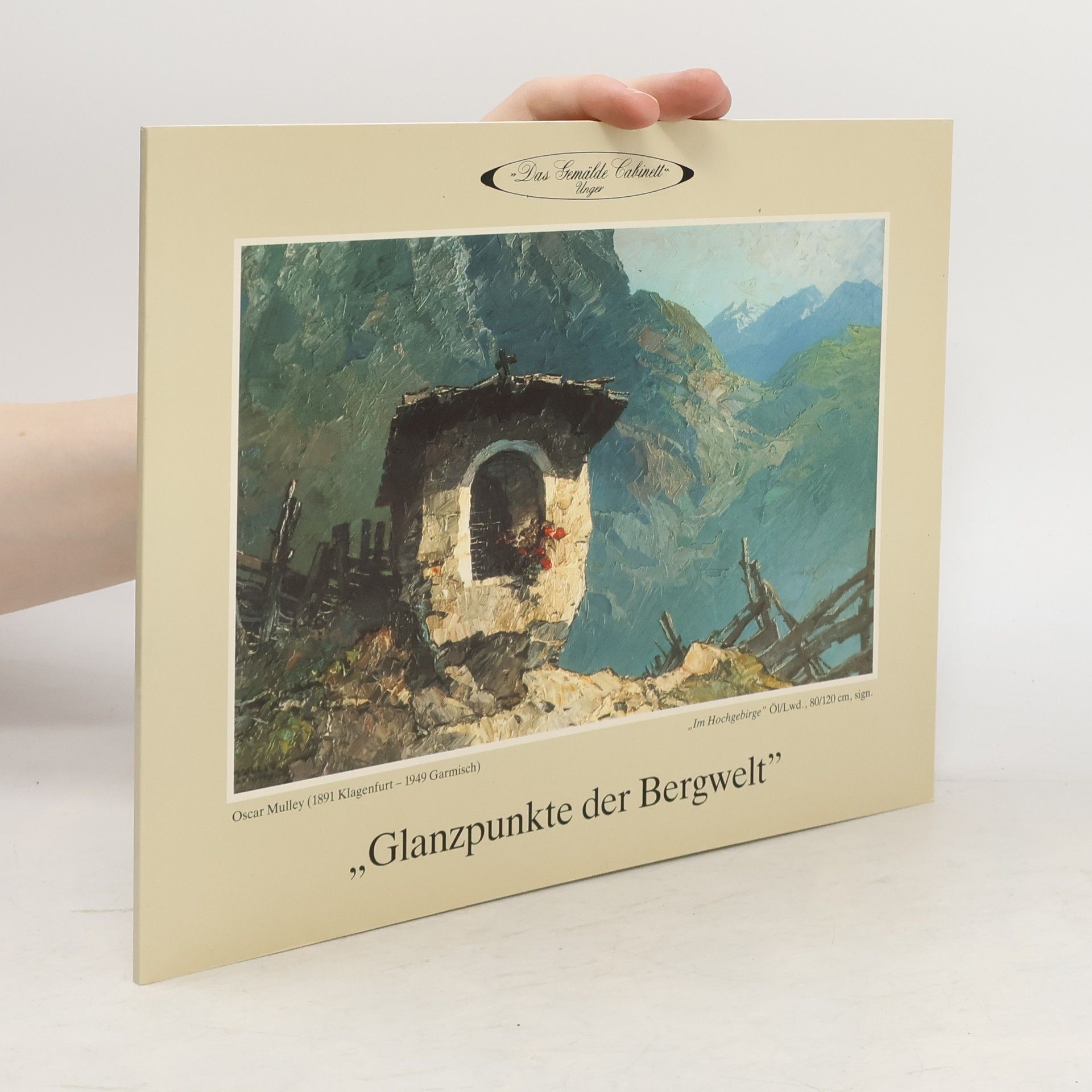 Collectif d'auteurs "Glanzpunkte der Bergwelt"