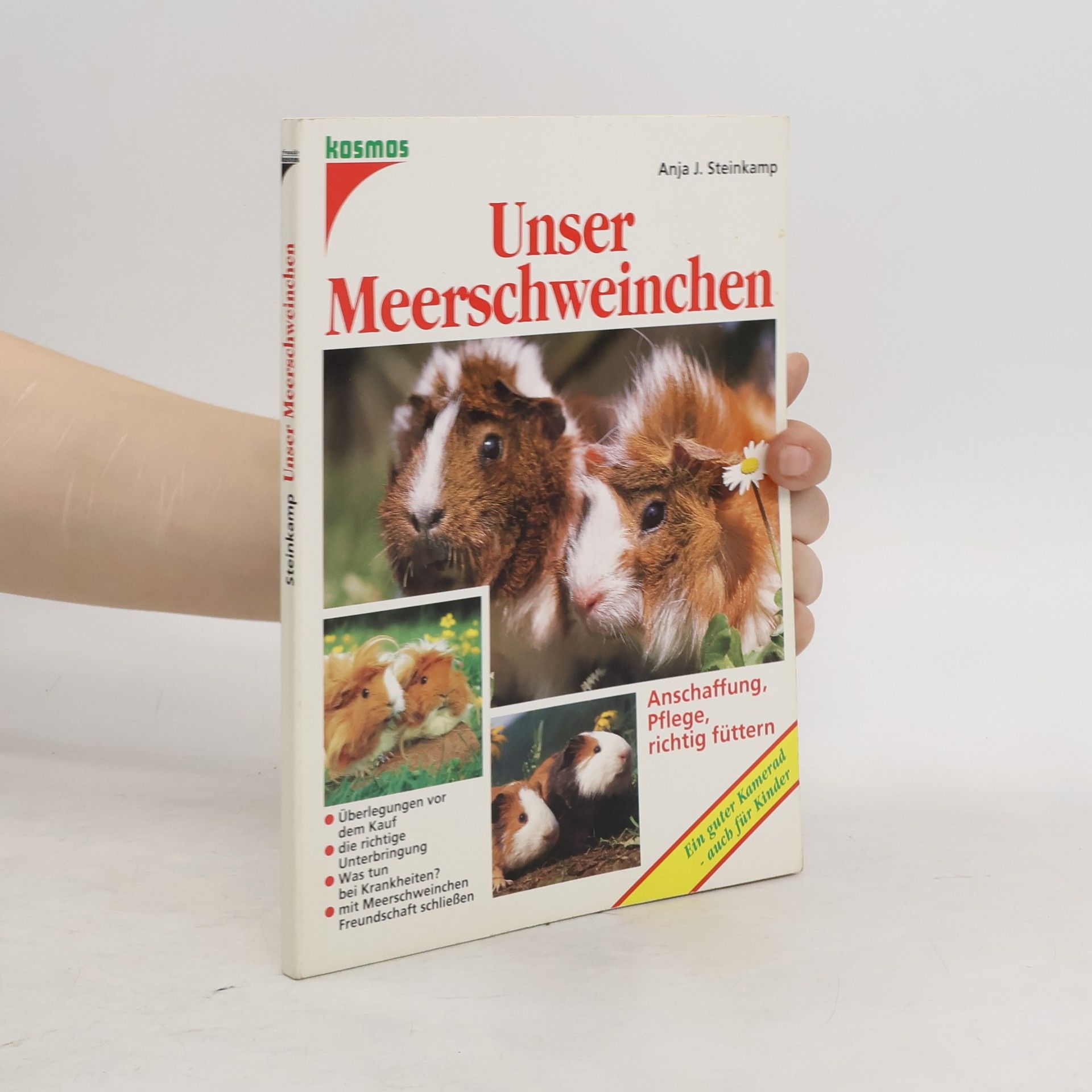 Anja Steinkamp Unser Meerschweinchen