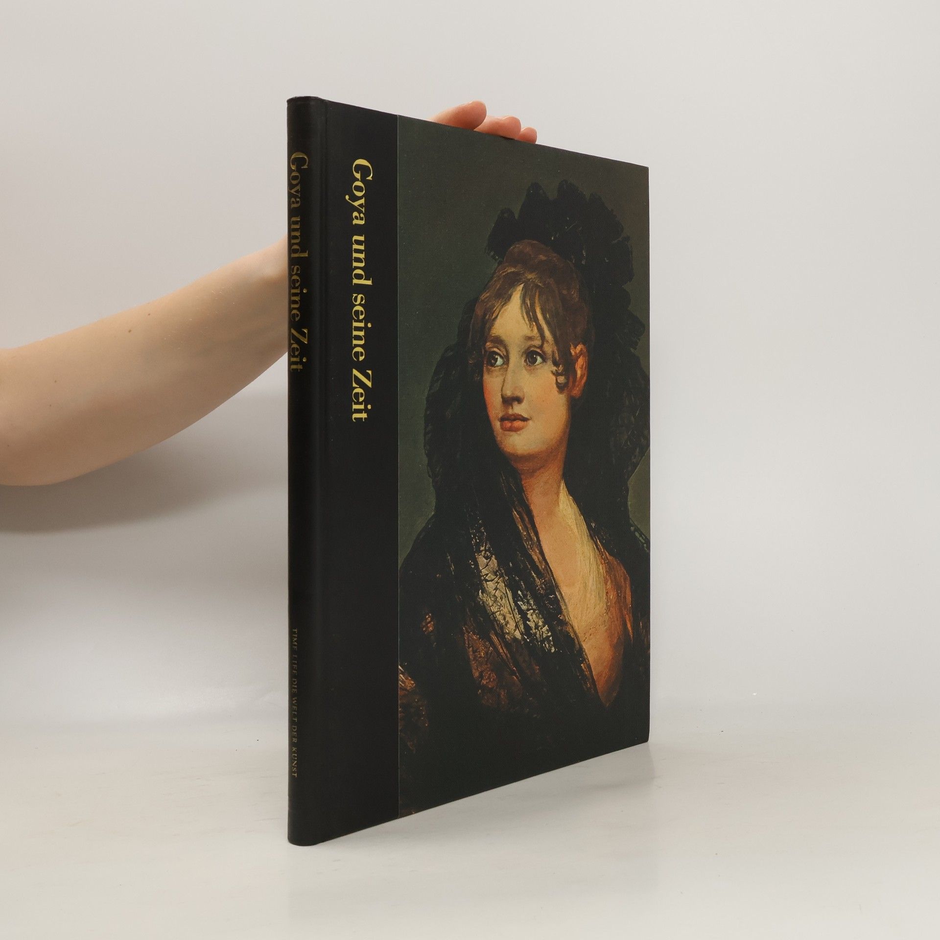 Richard Schickel Goya und seine Zeit