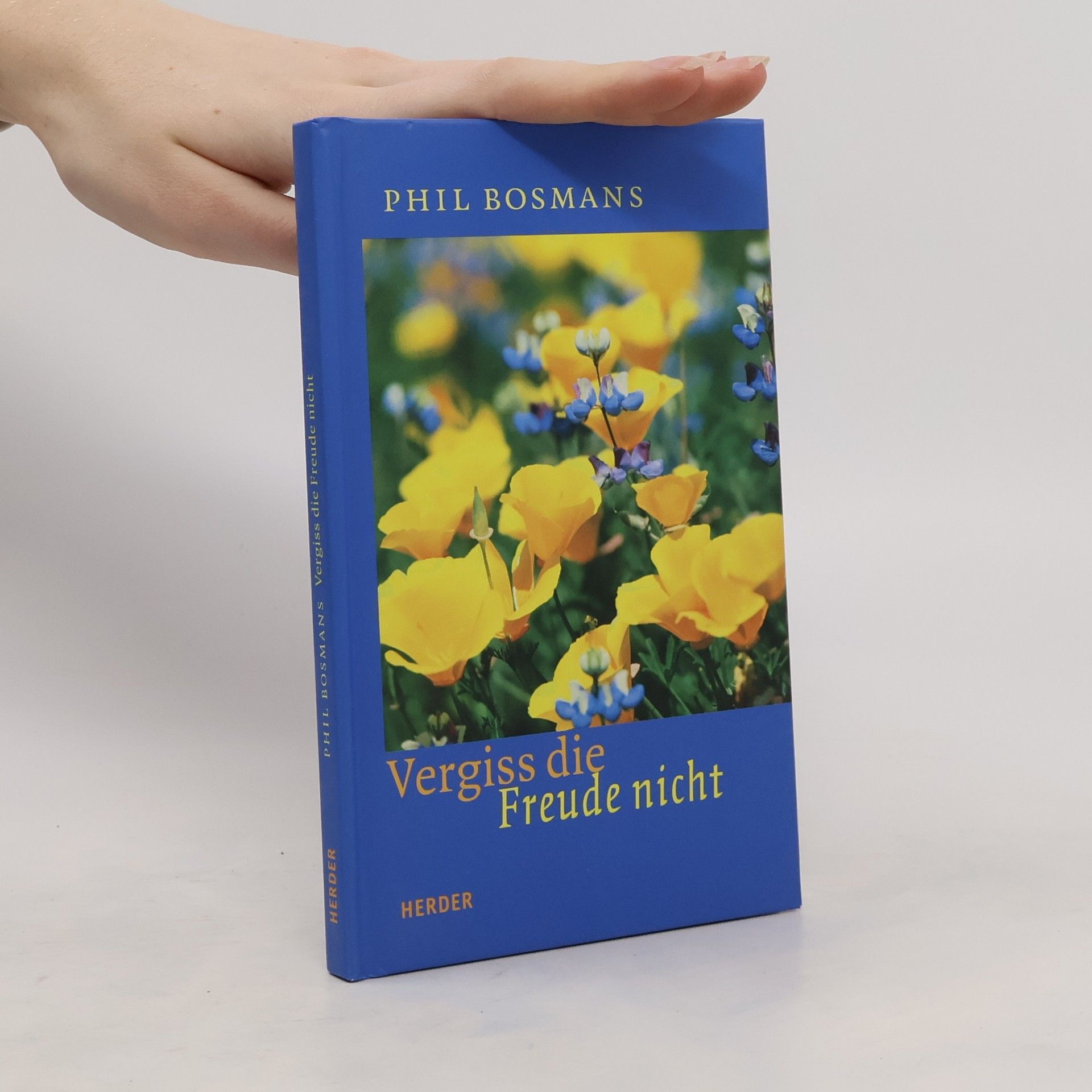 Phil Bosmans Vergiss die Freude nicht