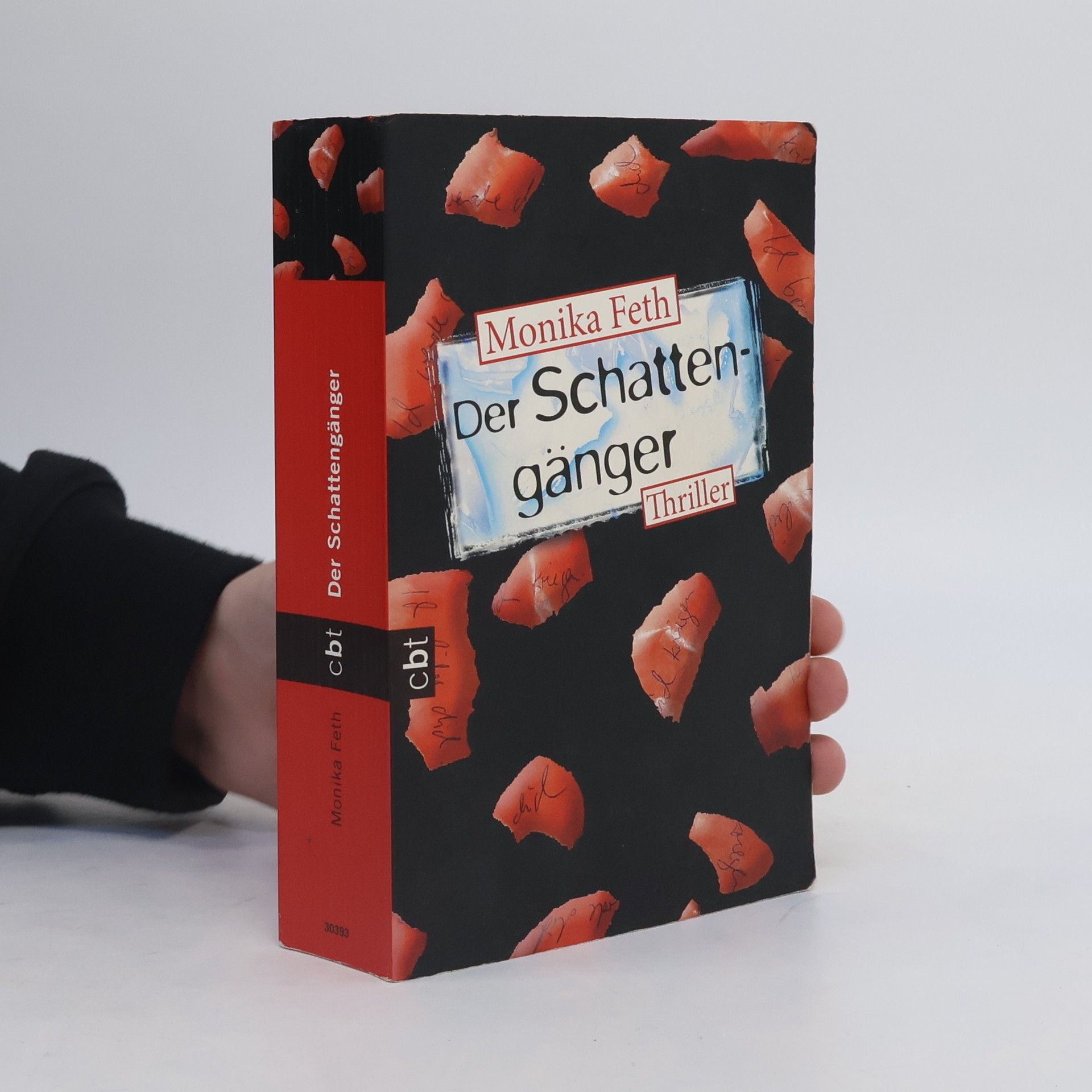 Monika Feth Der Schattengänger
