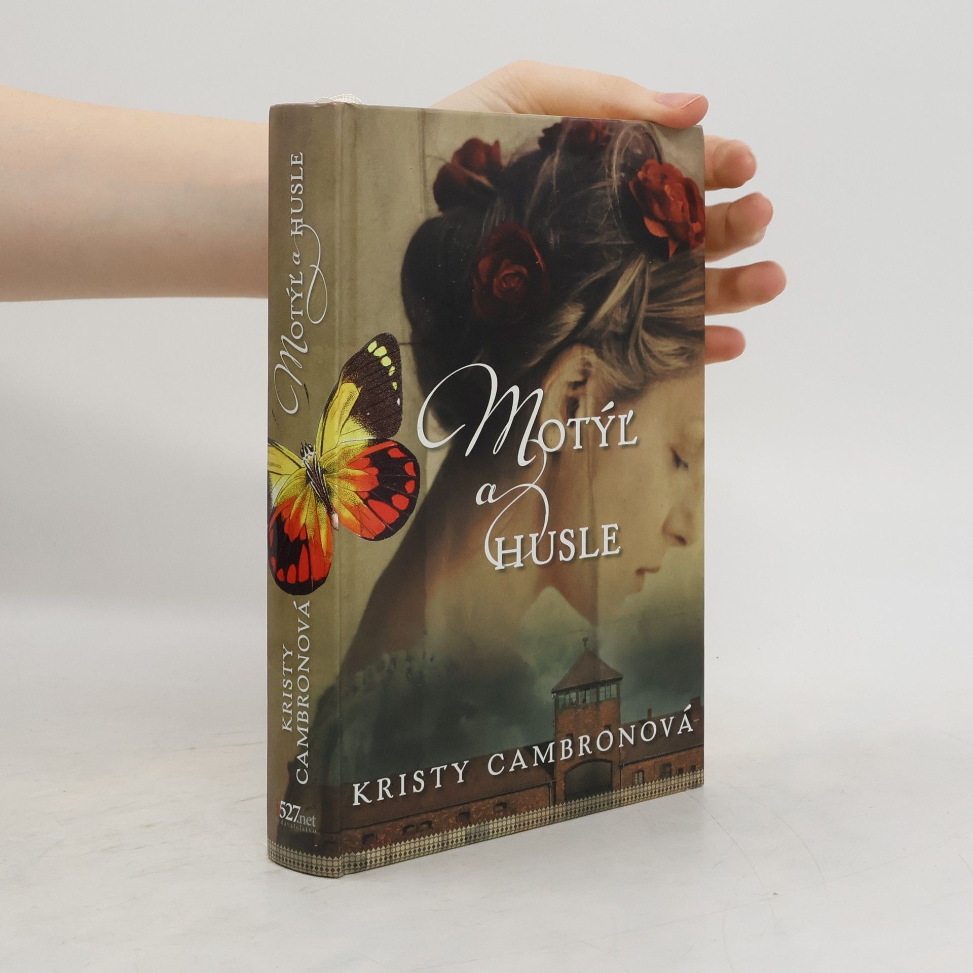 Kristy Cambron Motýl a husle