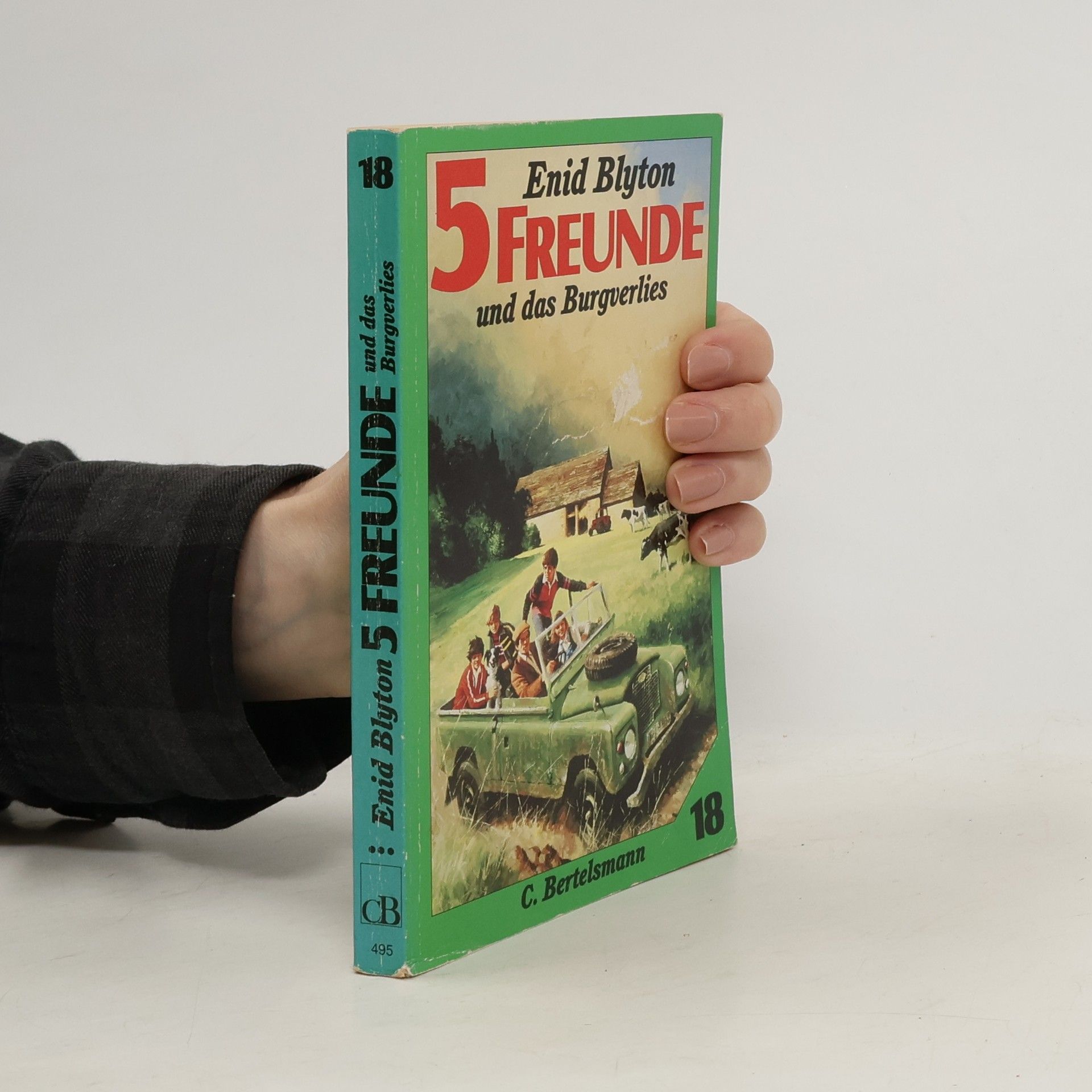Enid Blyton 5 Freunde und das Burgverlies