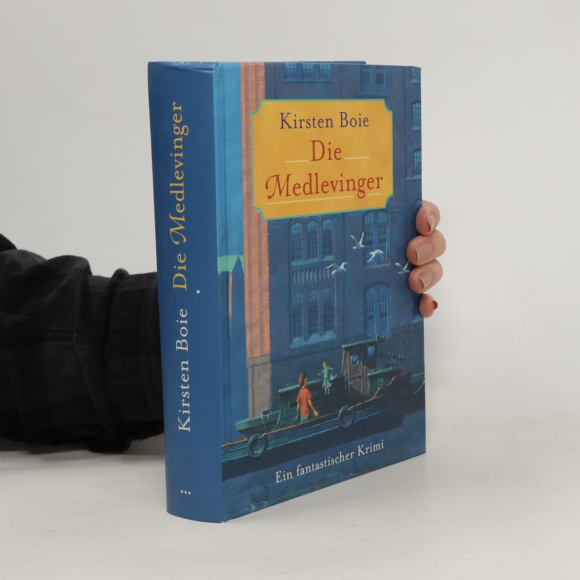 Kirsten Boie Die Medlevinger