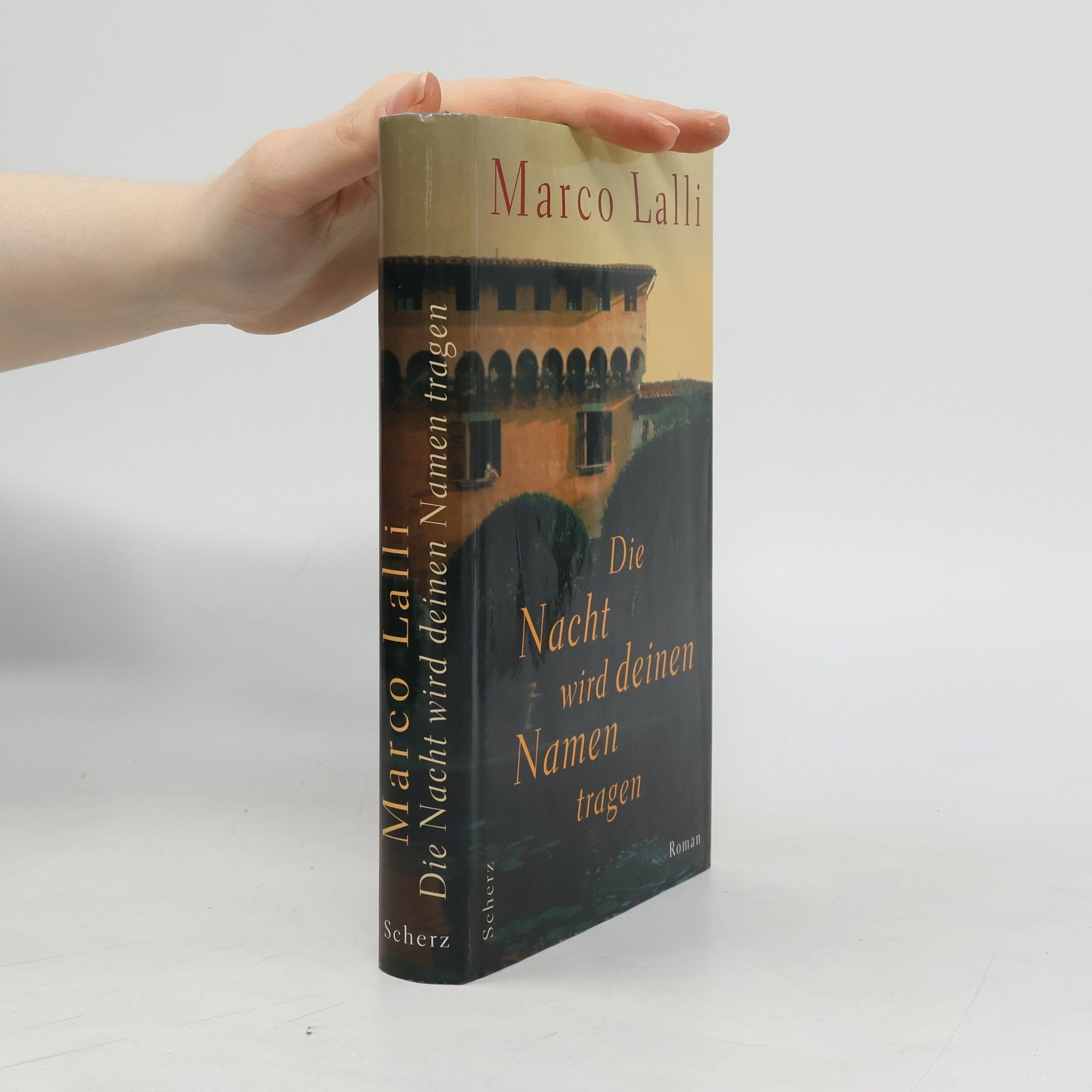 Marco Lalli Die Nacht wird deinen Namen tragen