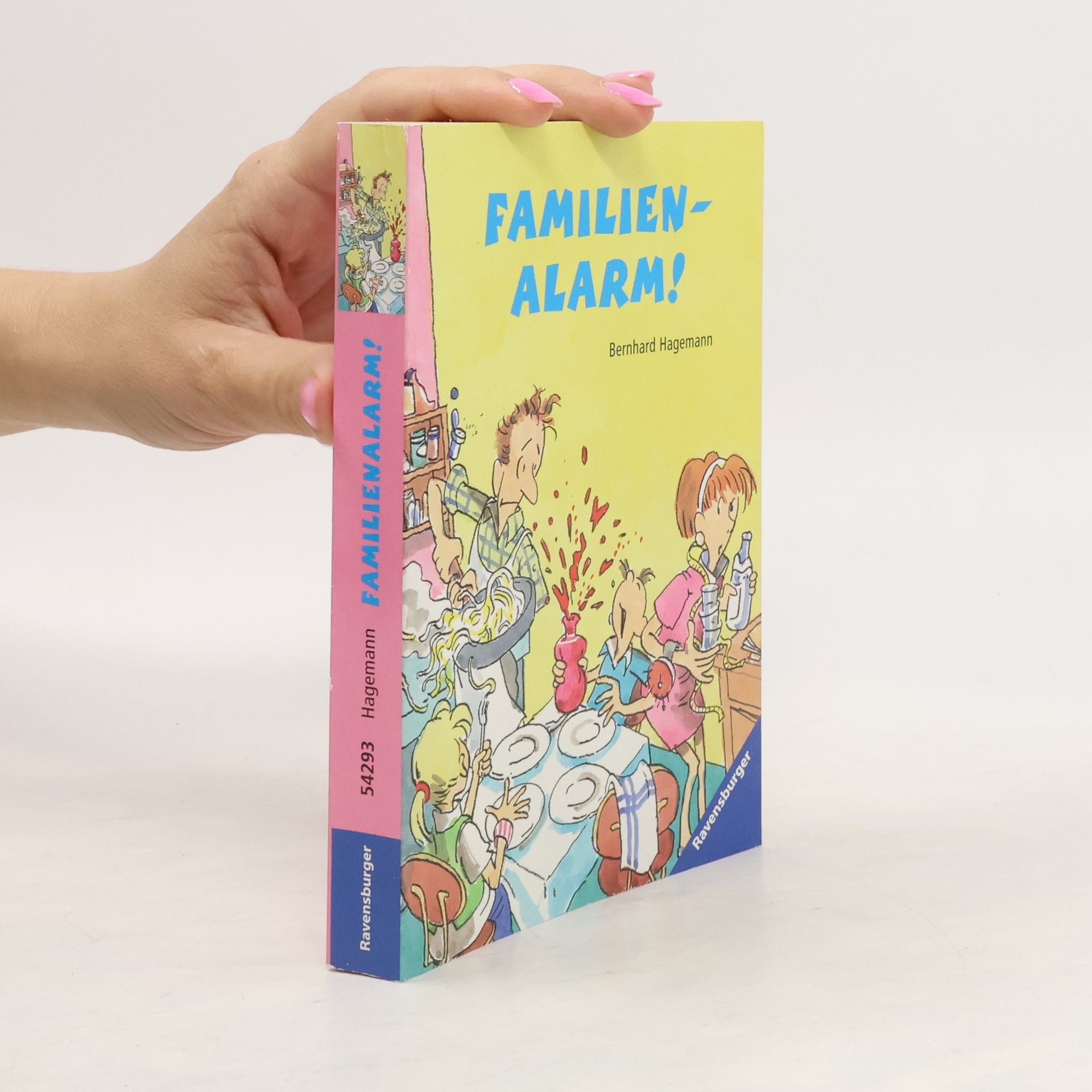 Bernhard Hagemann Familienalarm