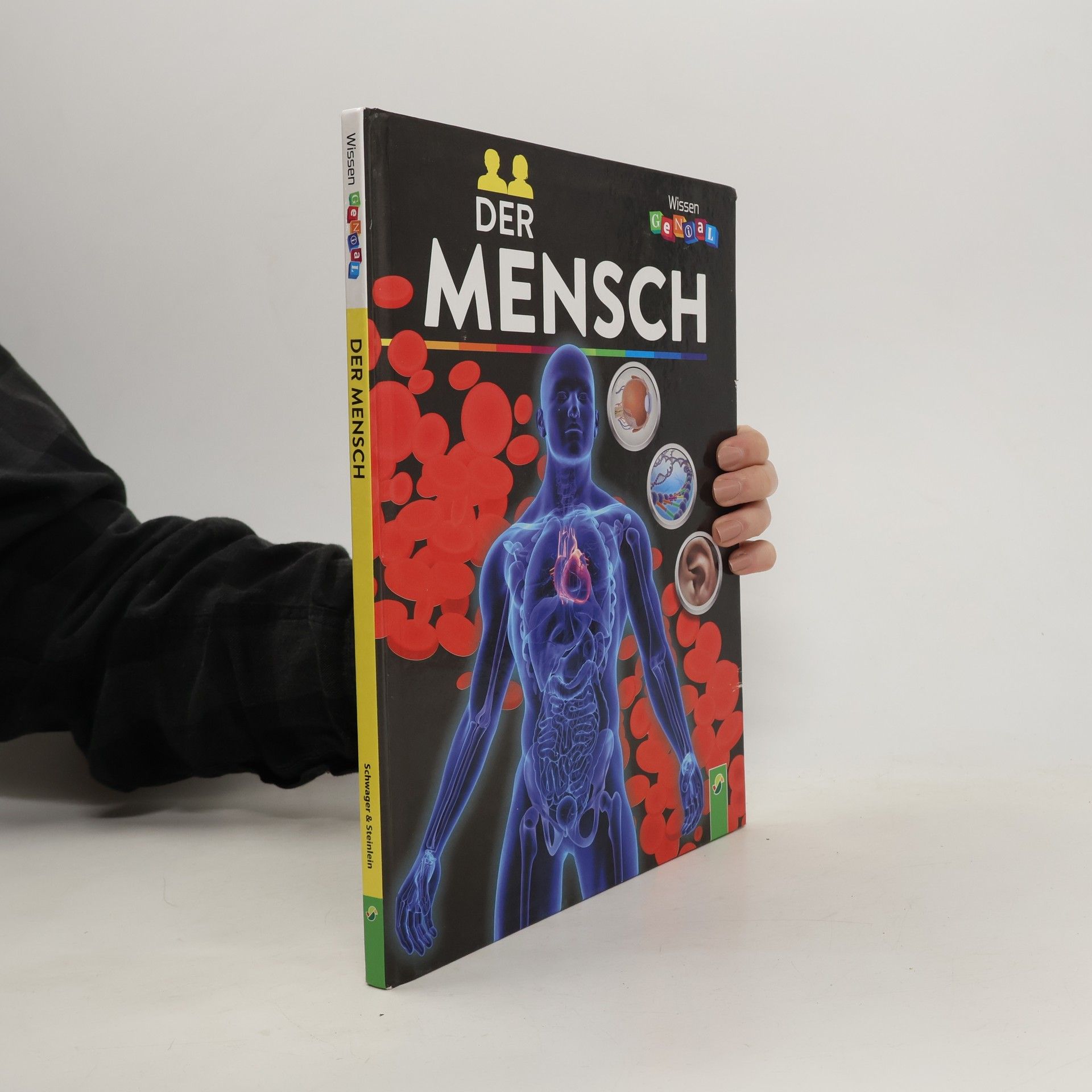 Heike Herrman Der Mensch