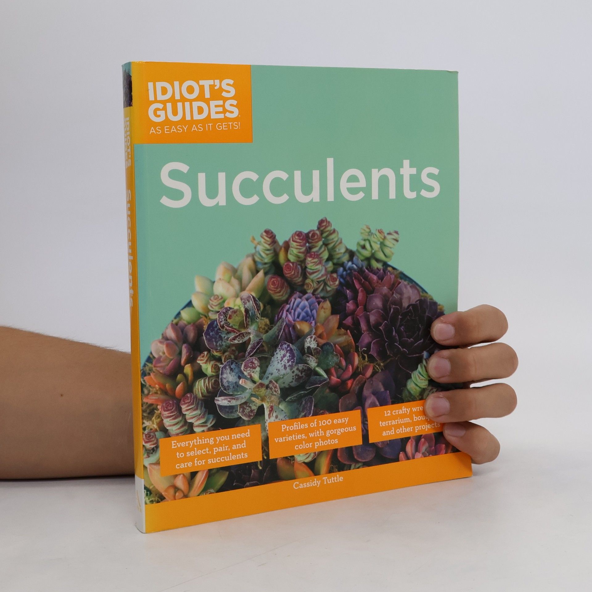 Cassidy Tuttle Succulents