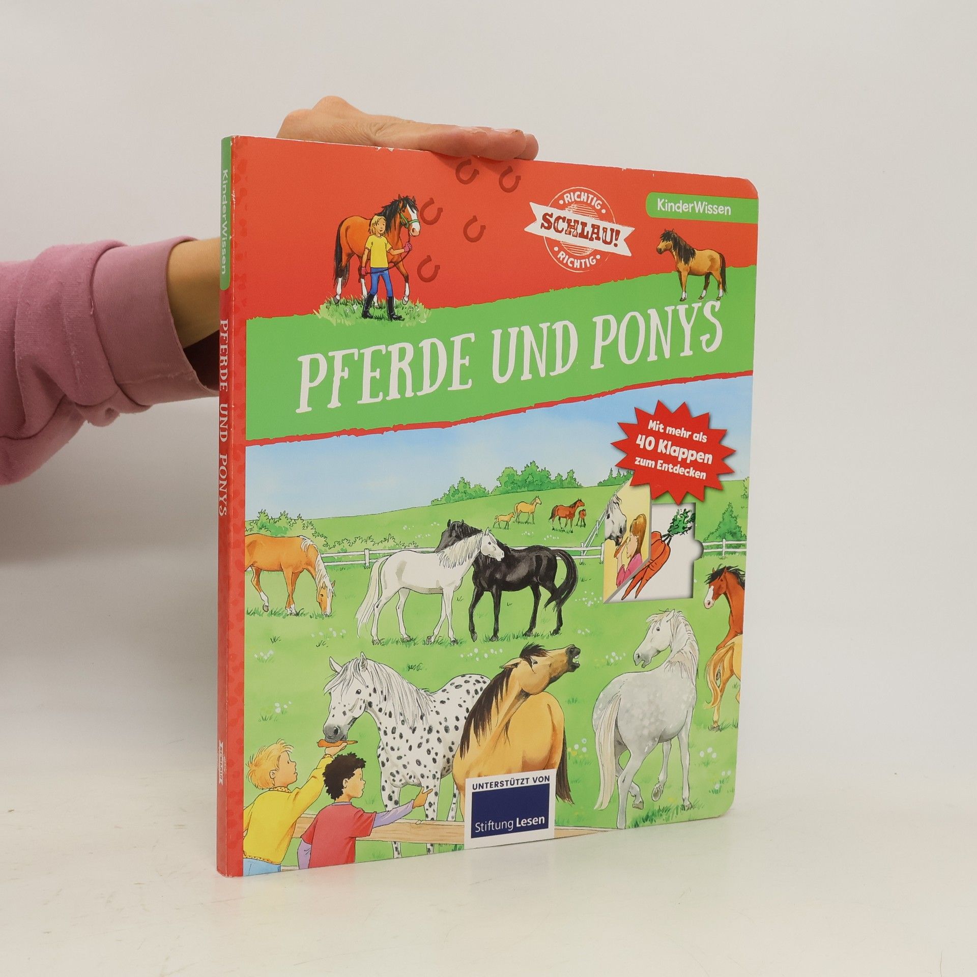 Carola von Kessel Pferde und Ponys