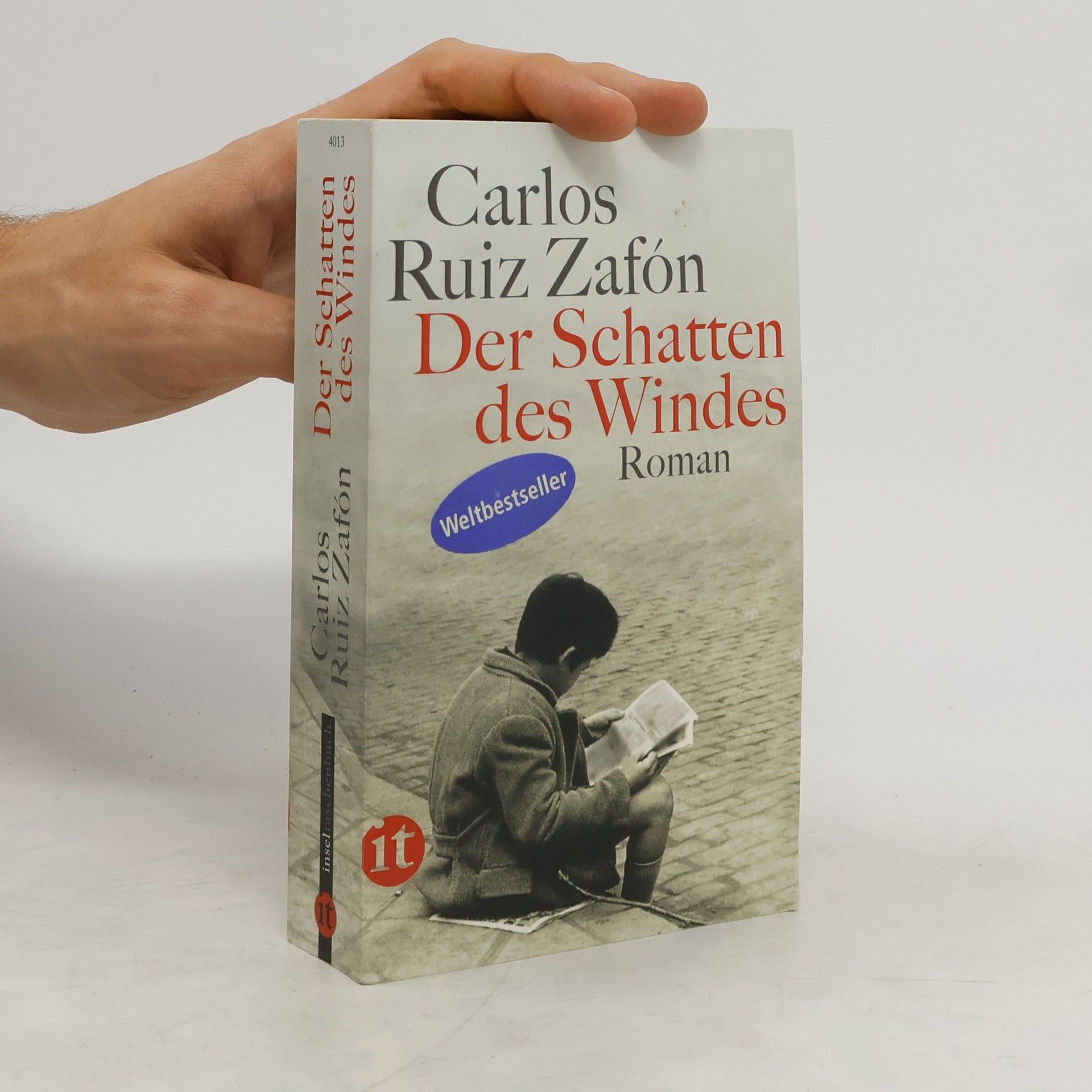 Carlos Ruiz Zafón Der Schatten des Windes