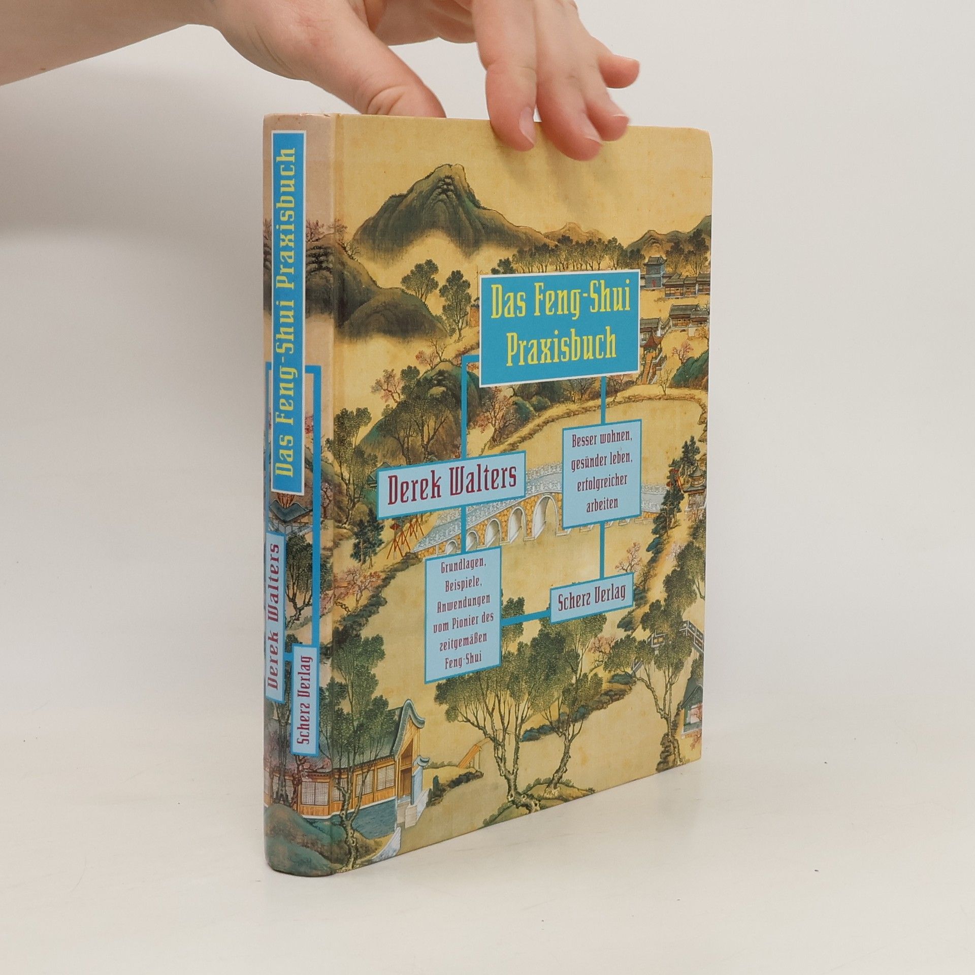 Derek Walters Das Feng-Shui-Praxisbuch
