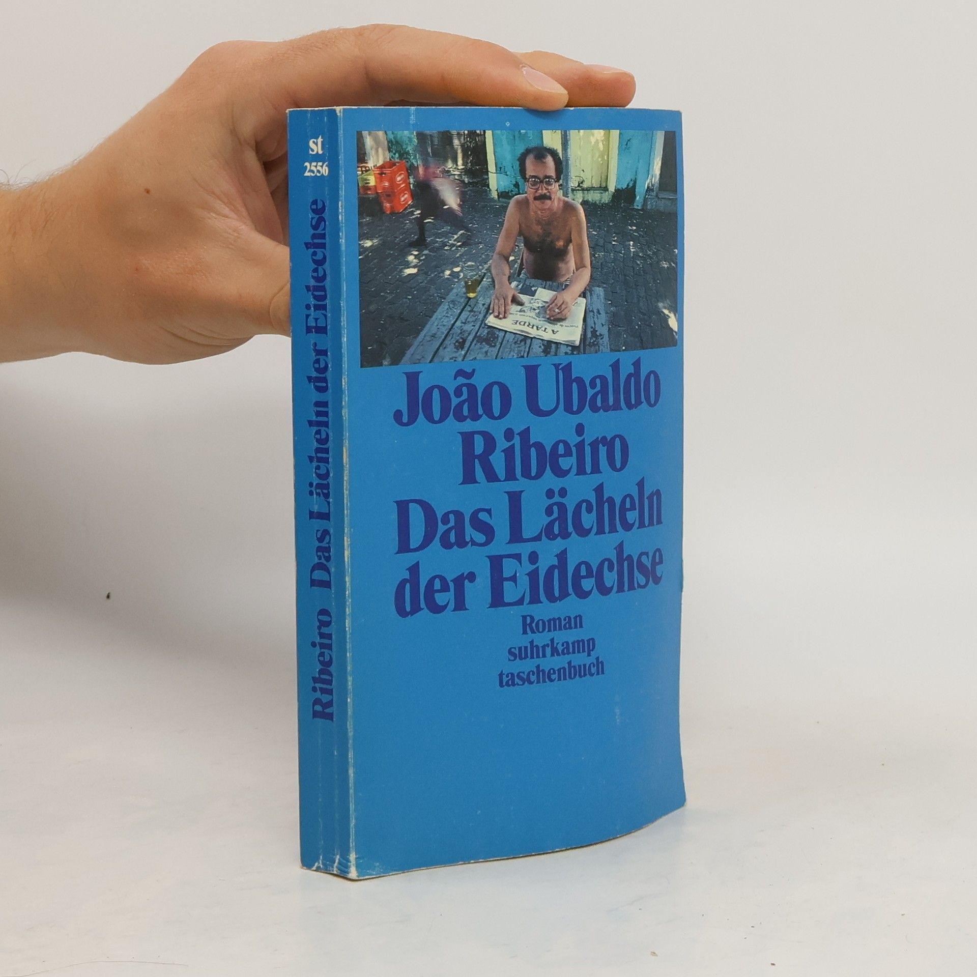 João Ubaldo Ribeiro Das Lächeln der Eidechse