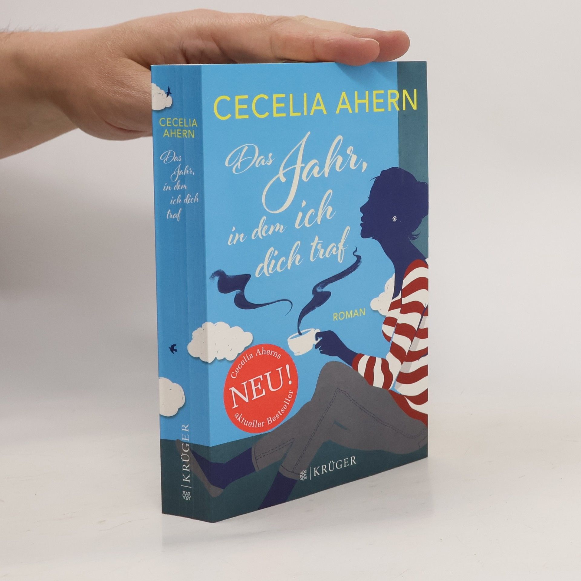 Cecelia Ahern Das Jahr, in dem ich dich traf