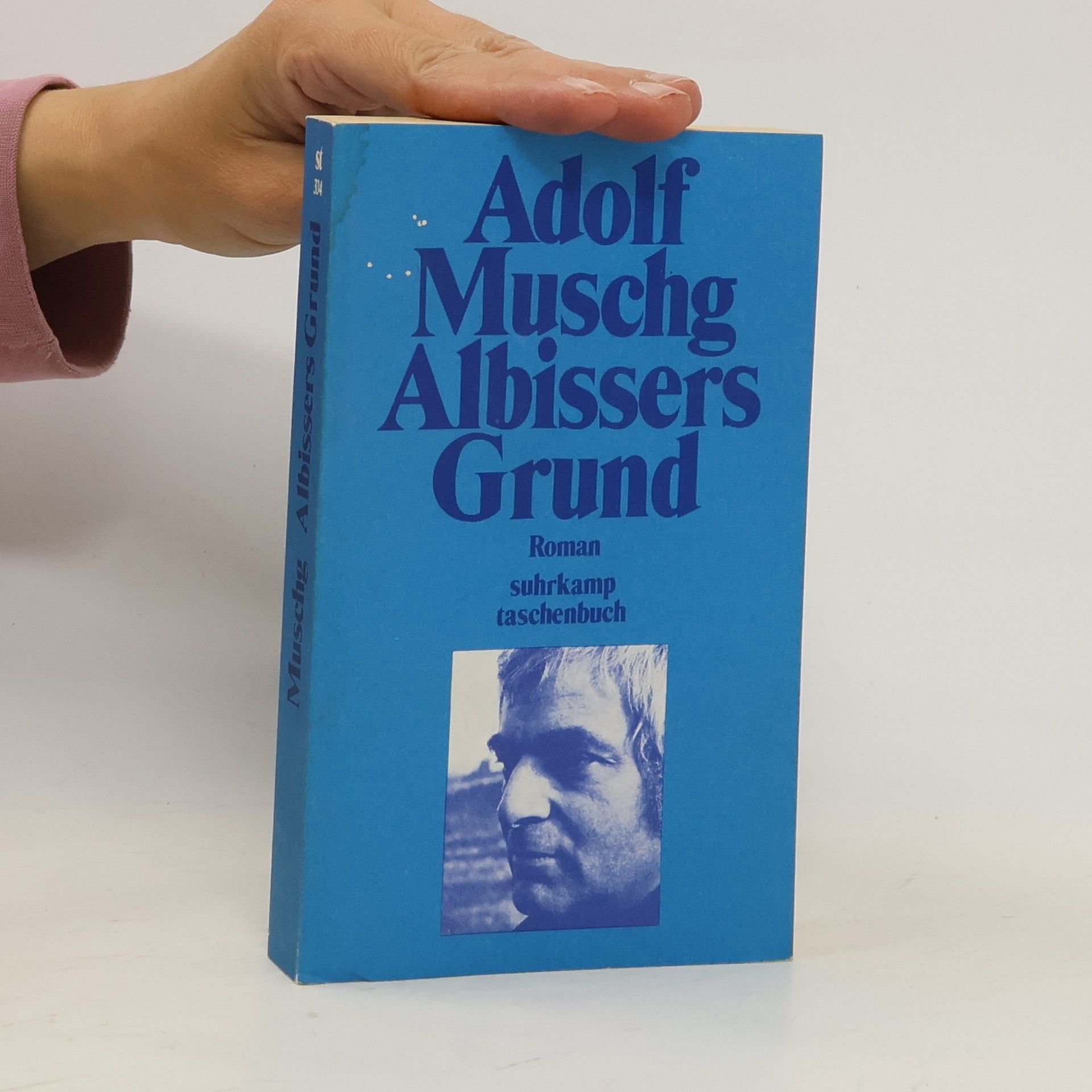 Adolf Muschg Albissers Grund