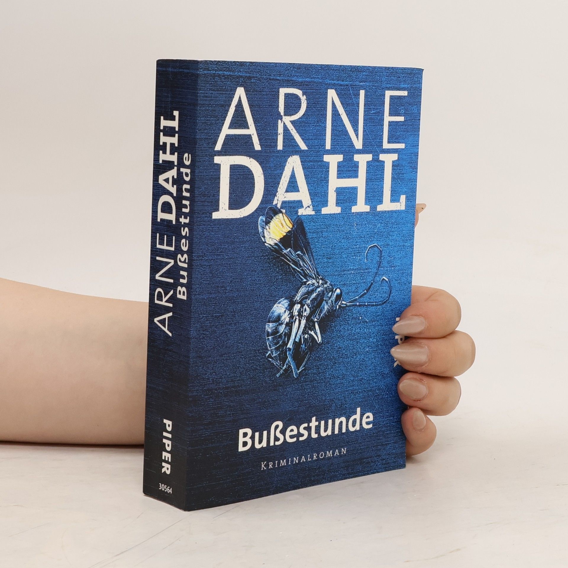 Arne Dahl Bußestunde