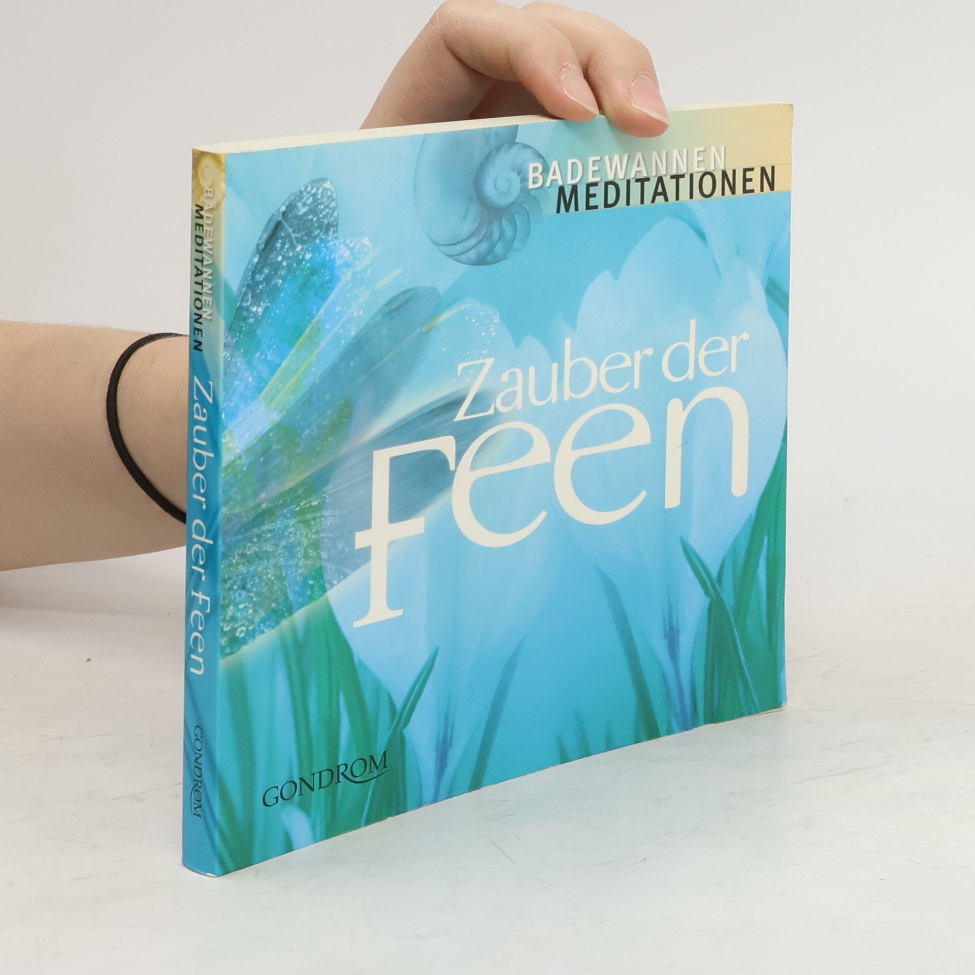 Zora Gienger Zauber der Feen