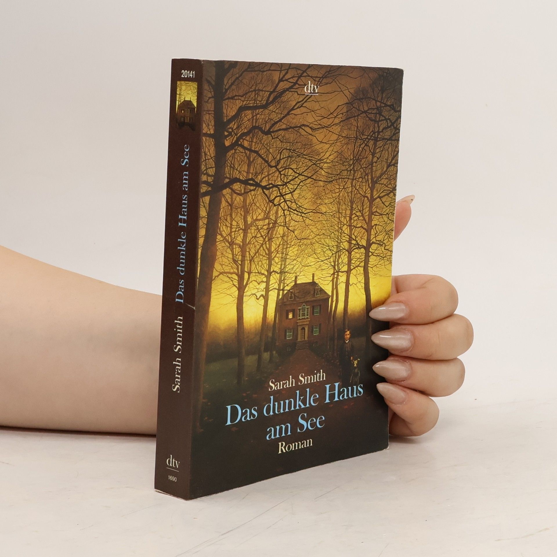 Sarah Smith Das dunkle Haus am See