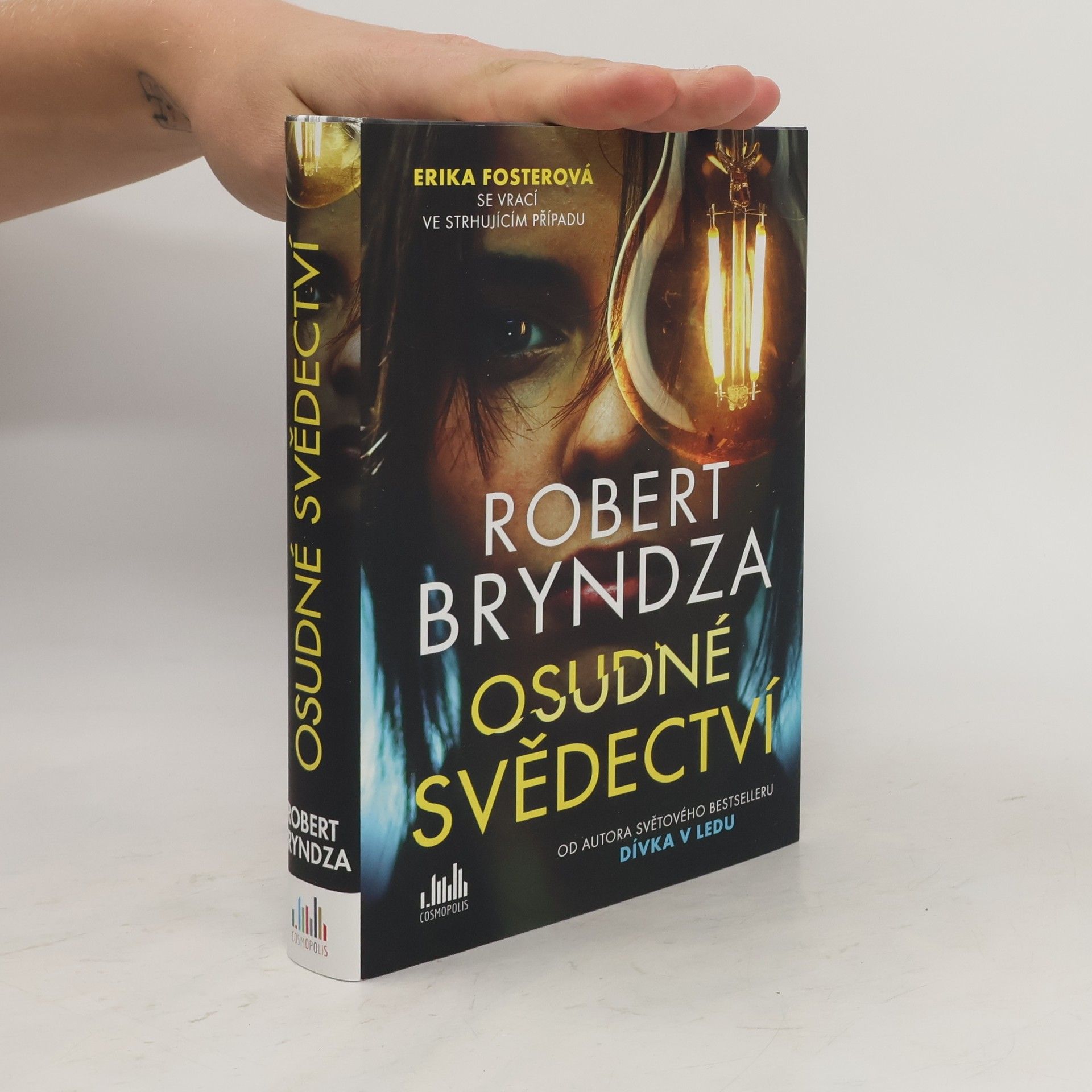 Robert Bryndza Osudné svědectví