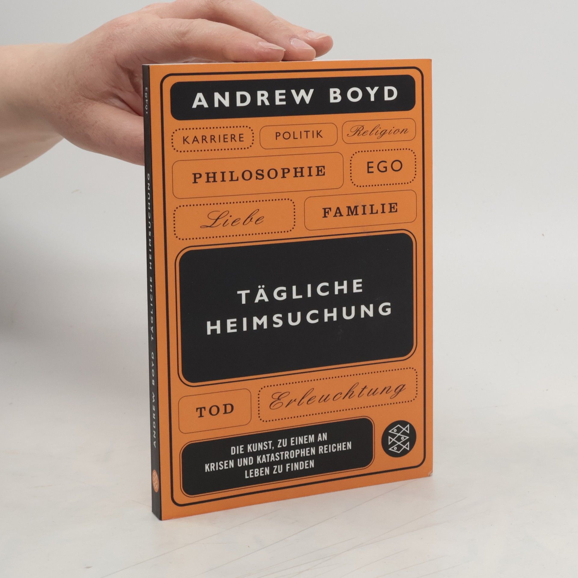 Andrew Boyd Tägliche Heimsuchung. Die Kunst, zu einem an Krisen und Katastrophen reichen Leben zu finden