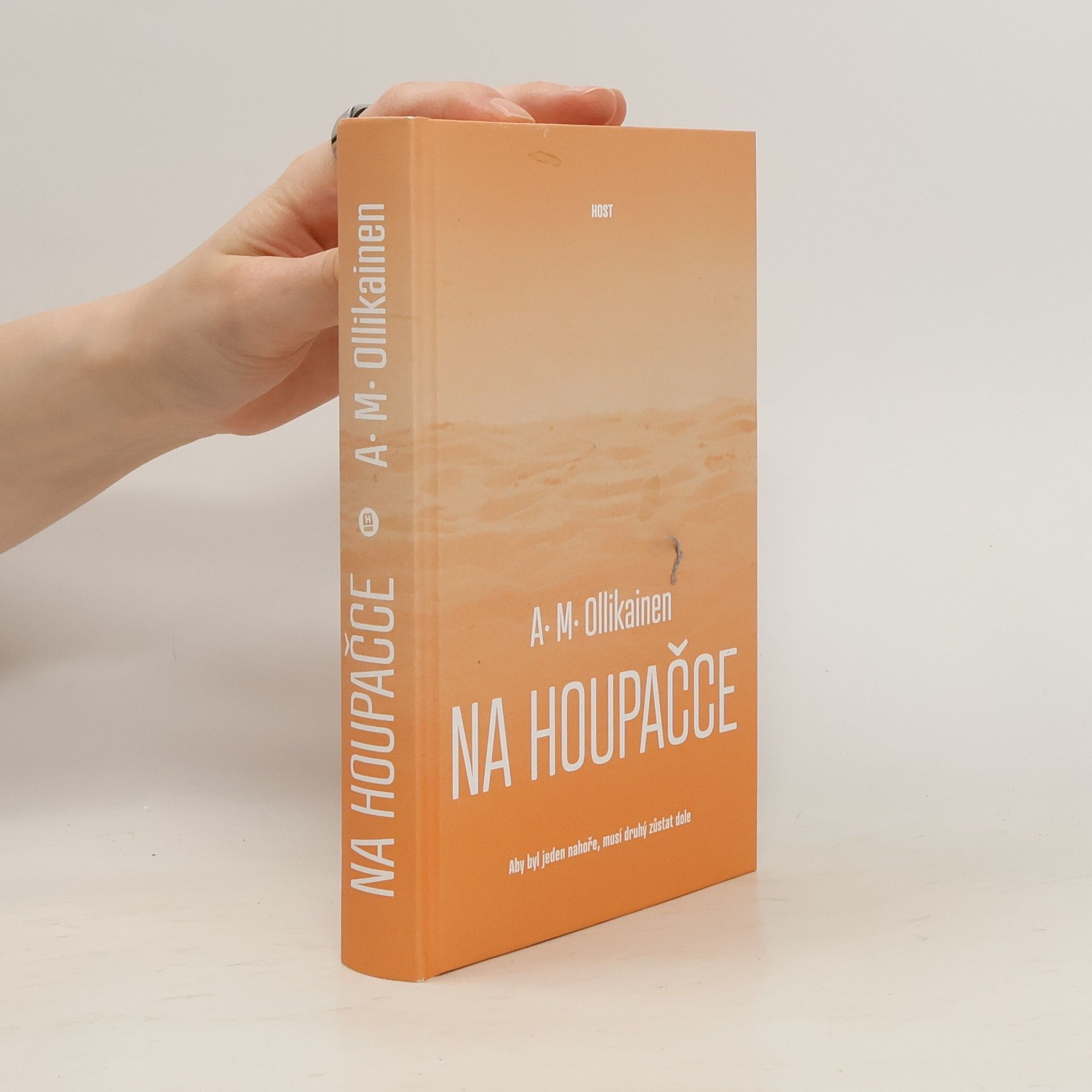 A. M. Ollikainen Na houpačce