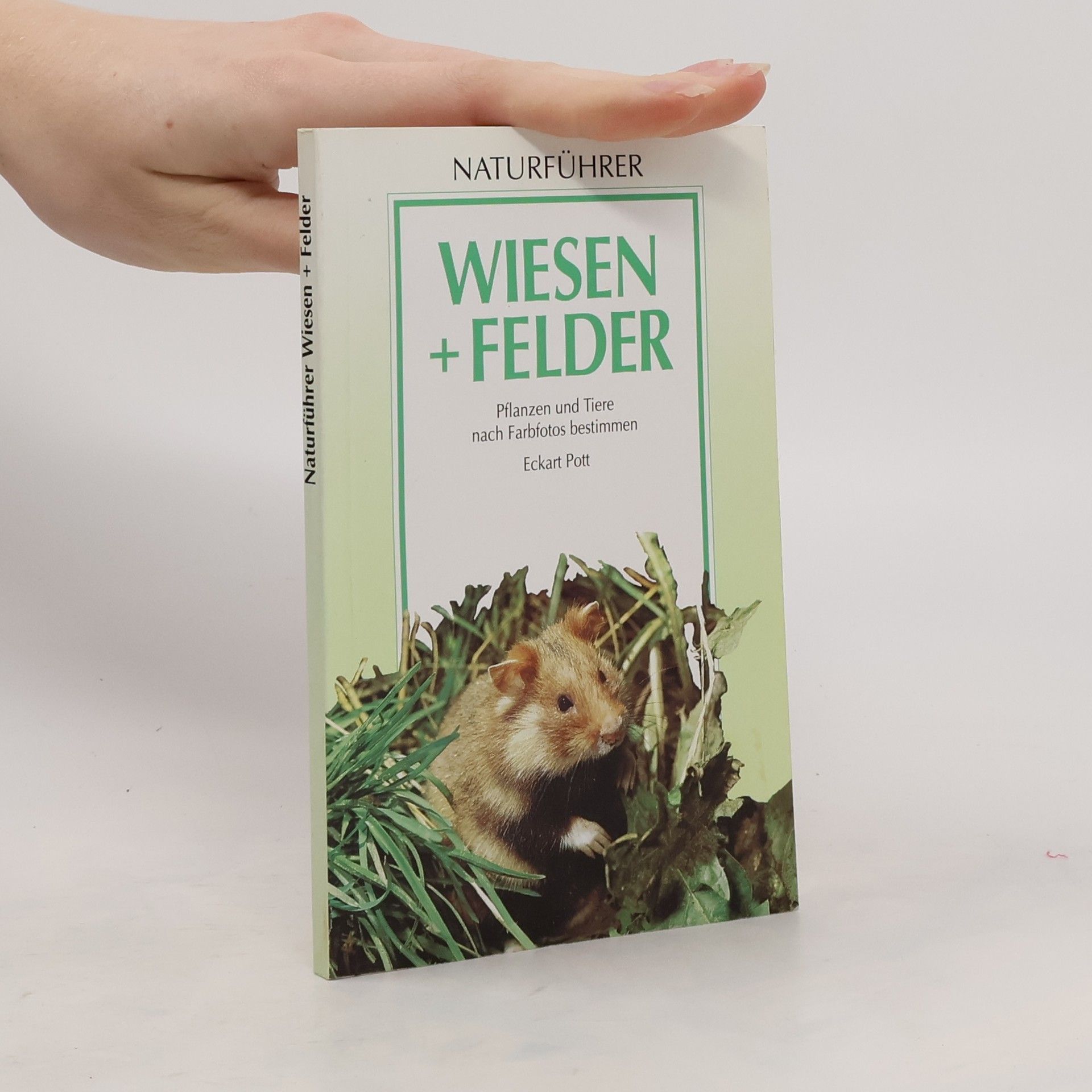 Eckart Pott Wiesen und Felder