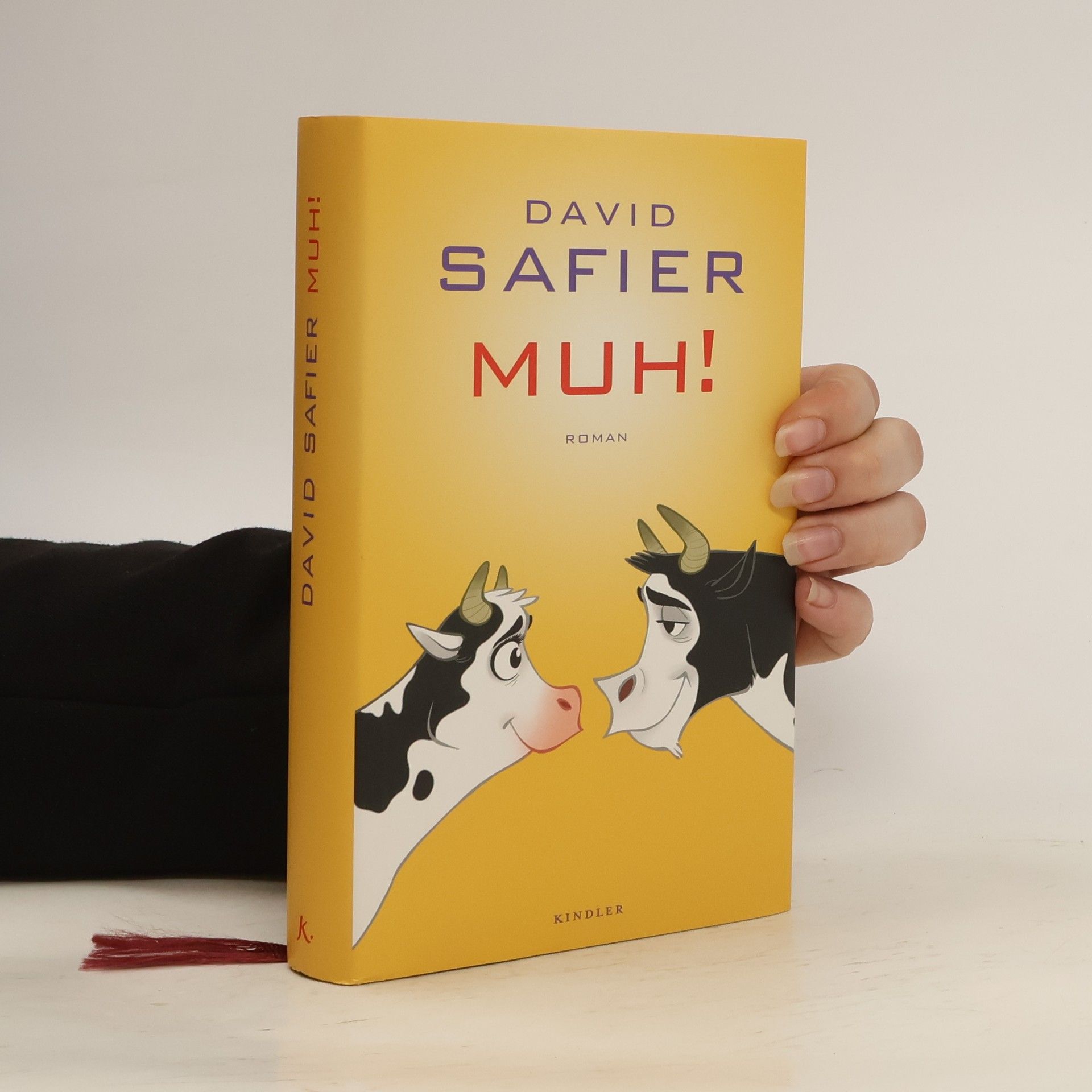 David Safier Muh!