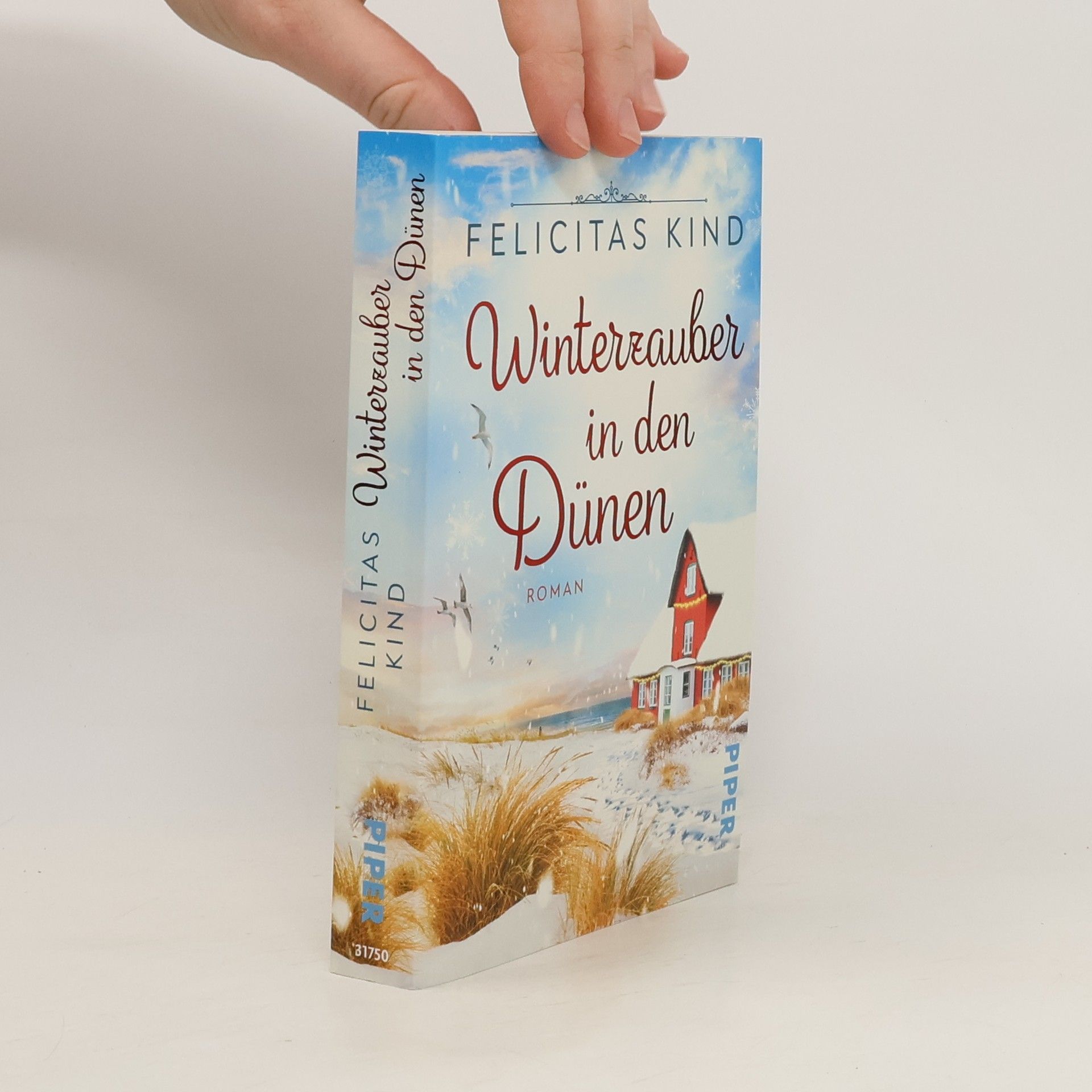 Felicitas Kind Winterzauber in den Dünen