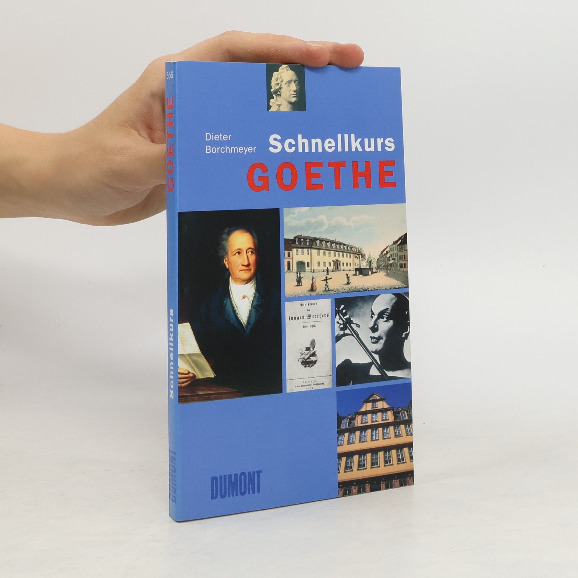 Dieter Borchmeyer Goethe