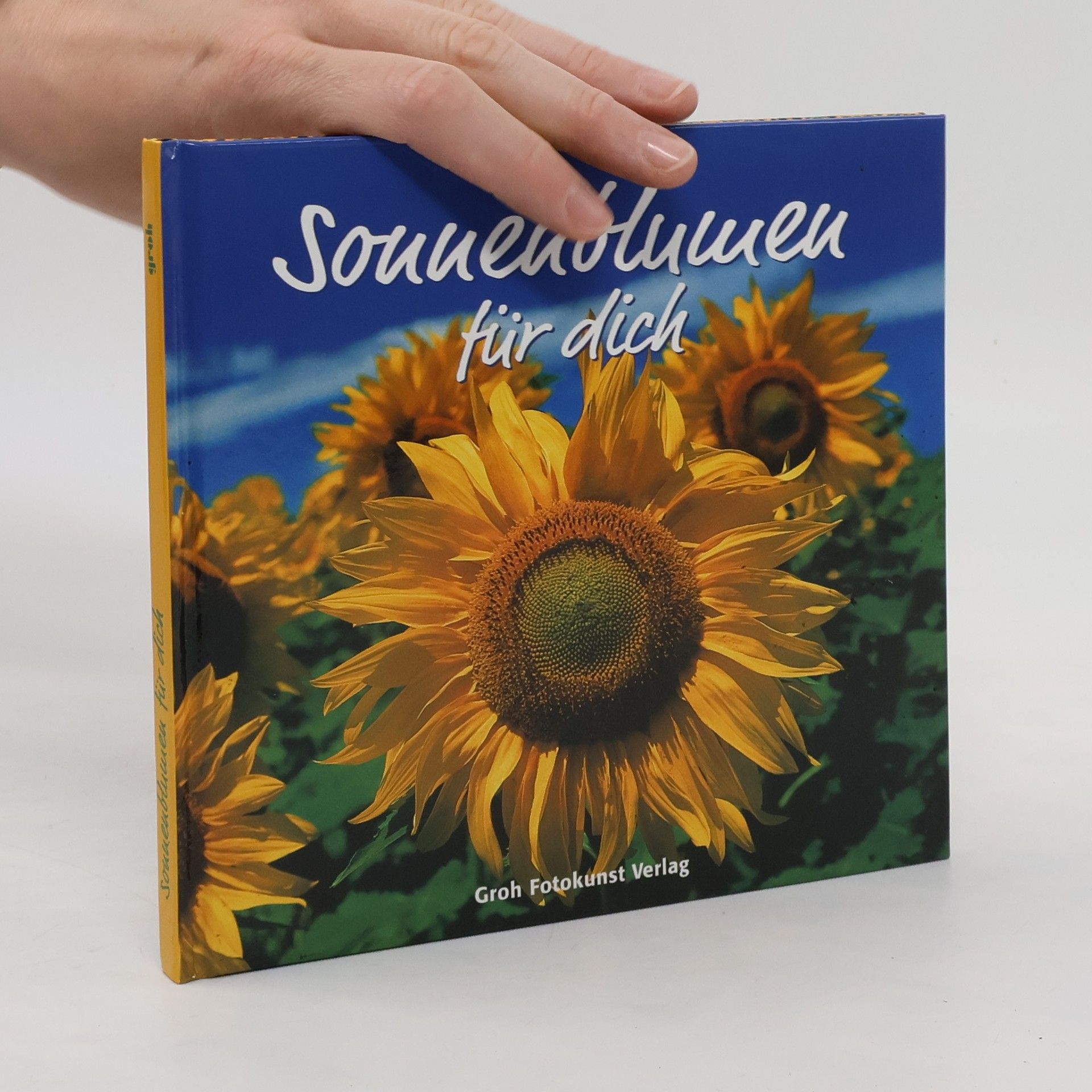 Dorothée Bleker Sonnenblumen für dich