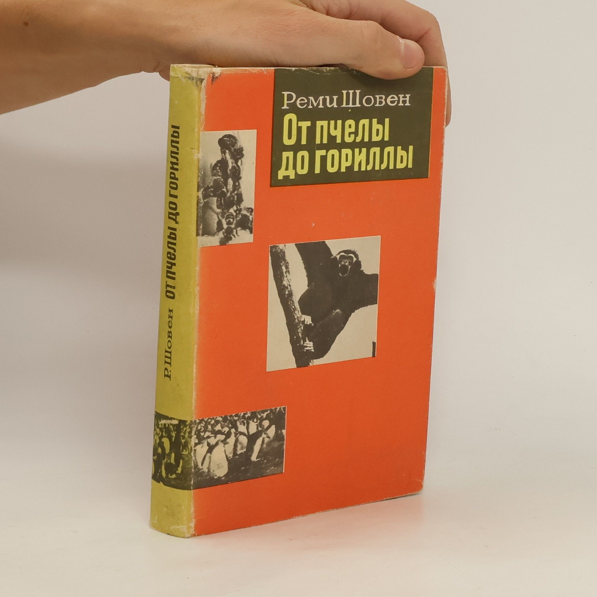Remy Shoven От пчелы до гориллы