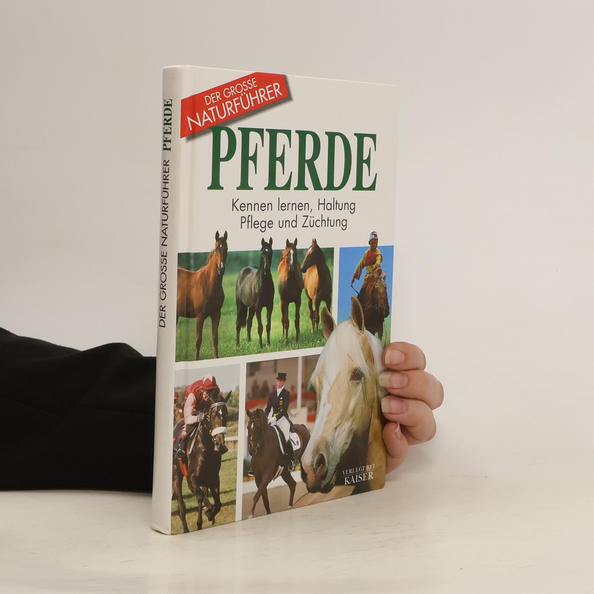 Autorenkollektiv Pferde