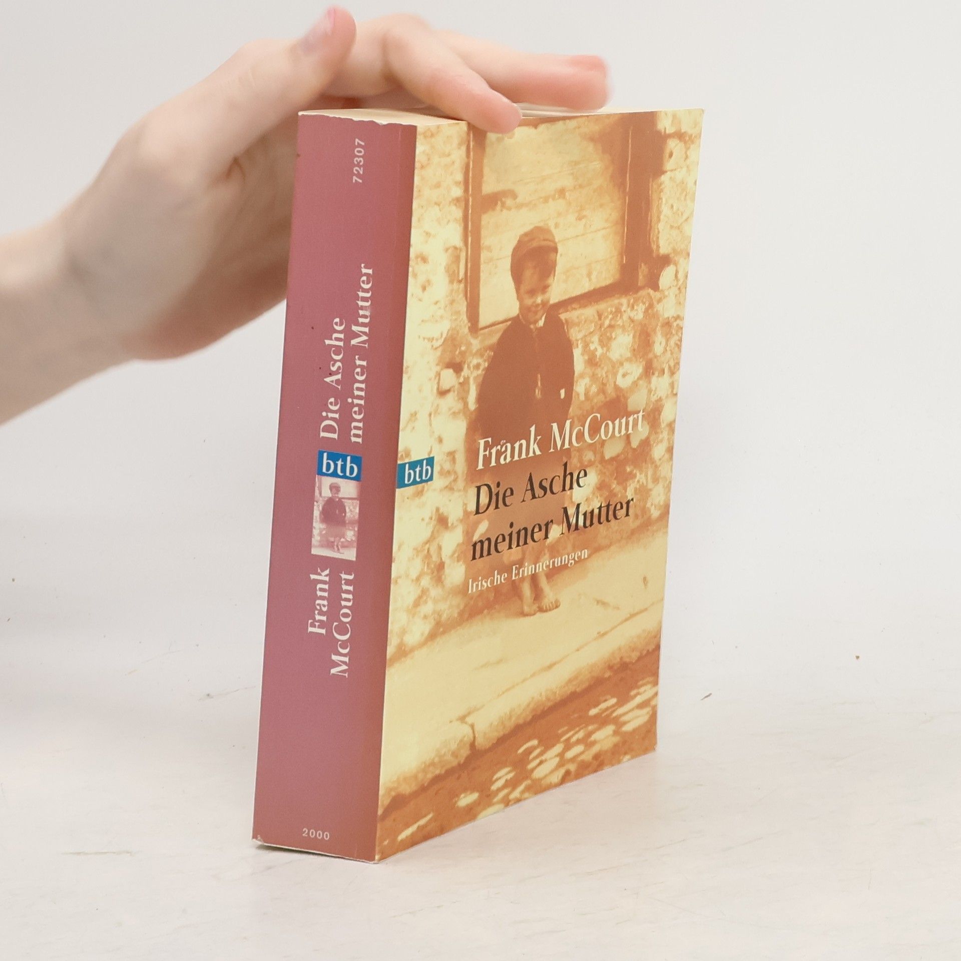Frank McCourt Die Asche meiner Mutter
