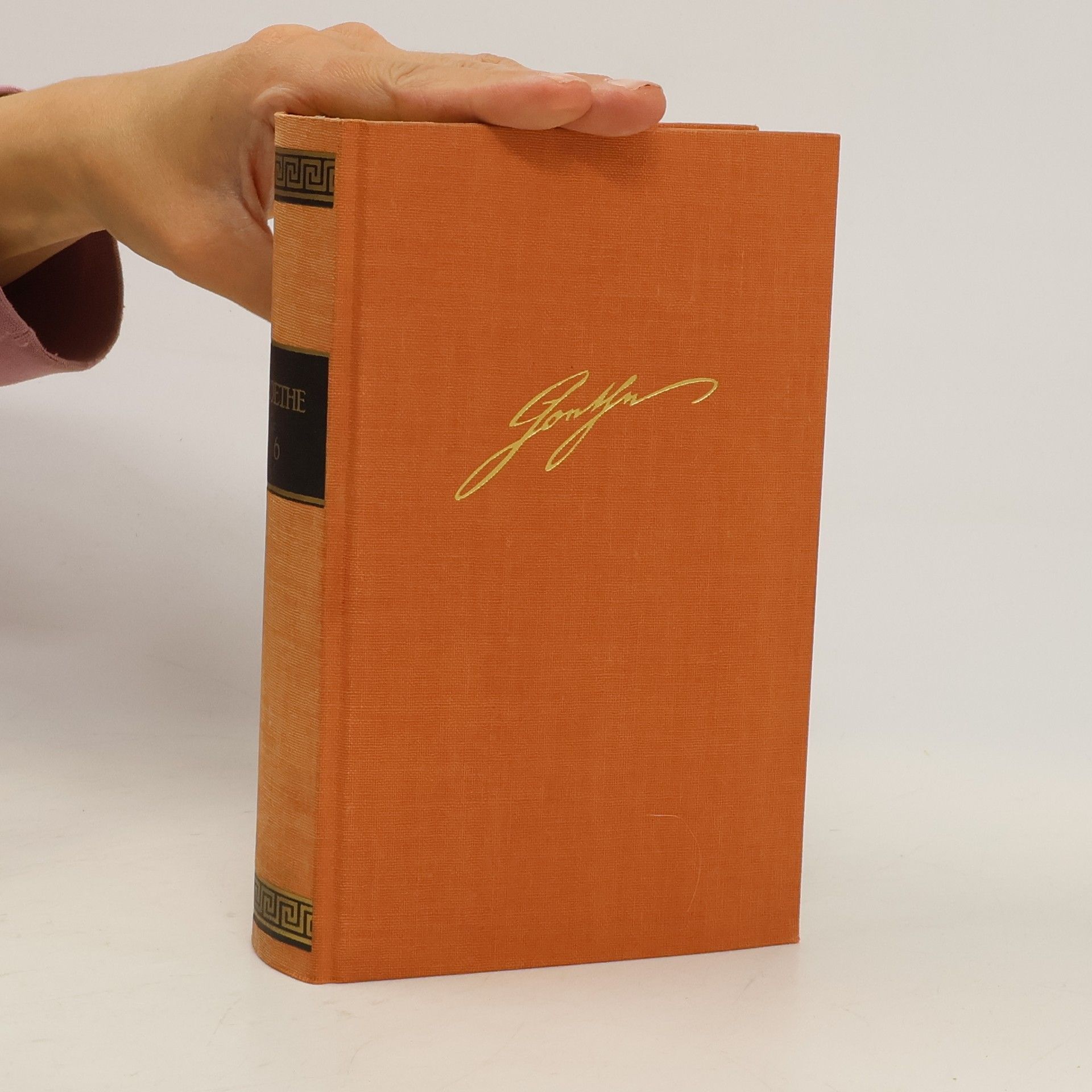 Johann Wolfgang von Goethe Goethes Werke 6