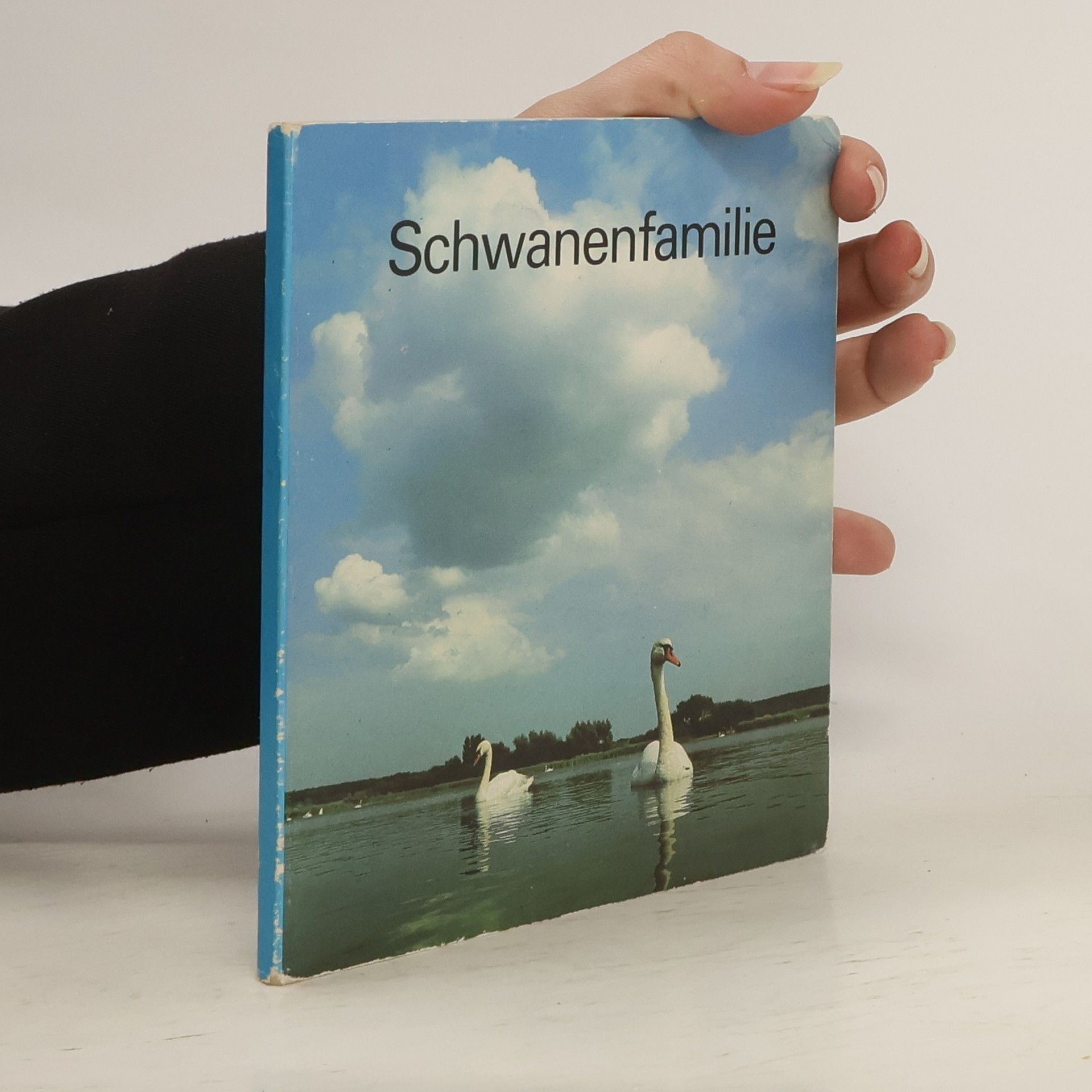 unbekannt Schwanenfamilie