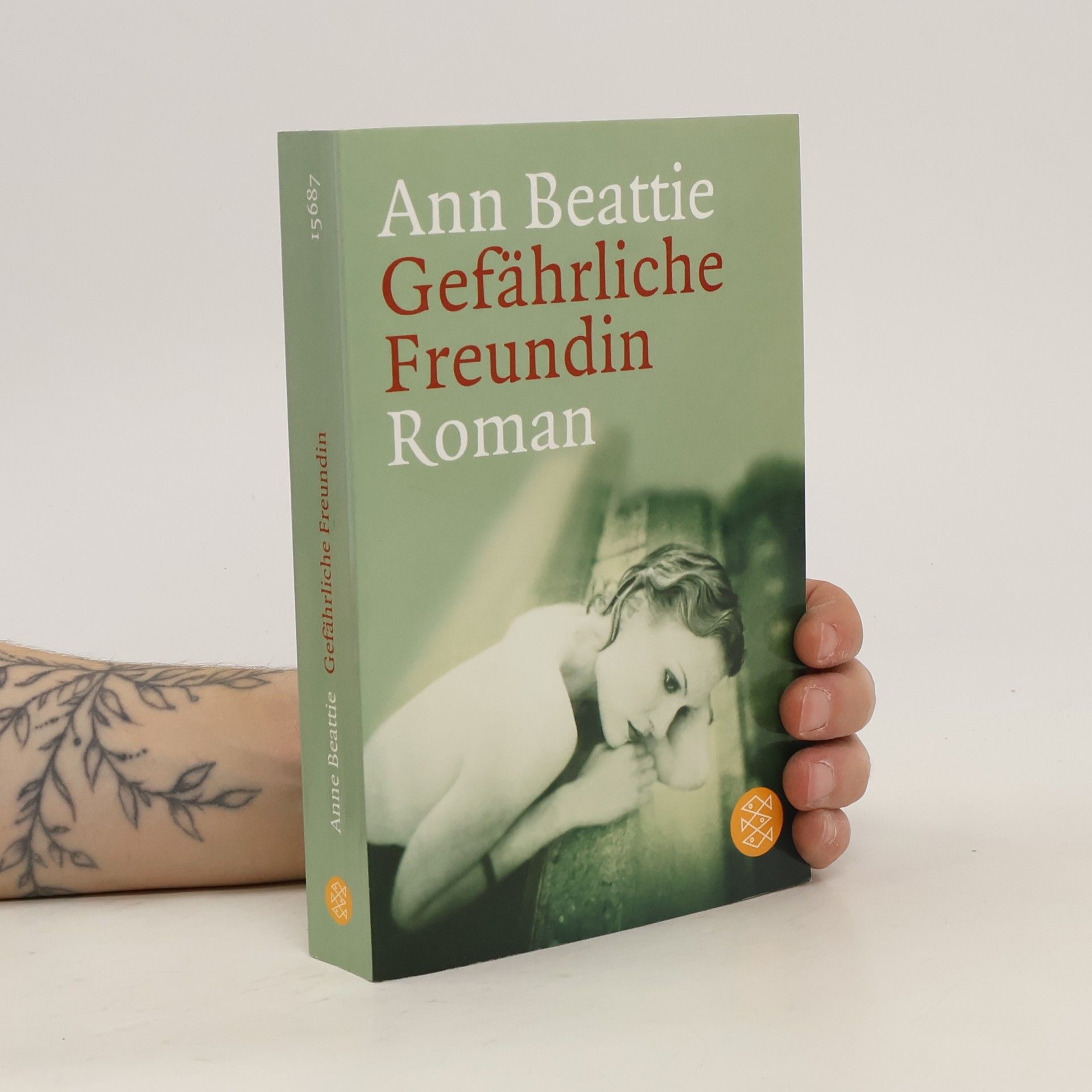 Ann Beattie Gefährliche Freundin
