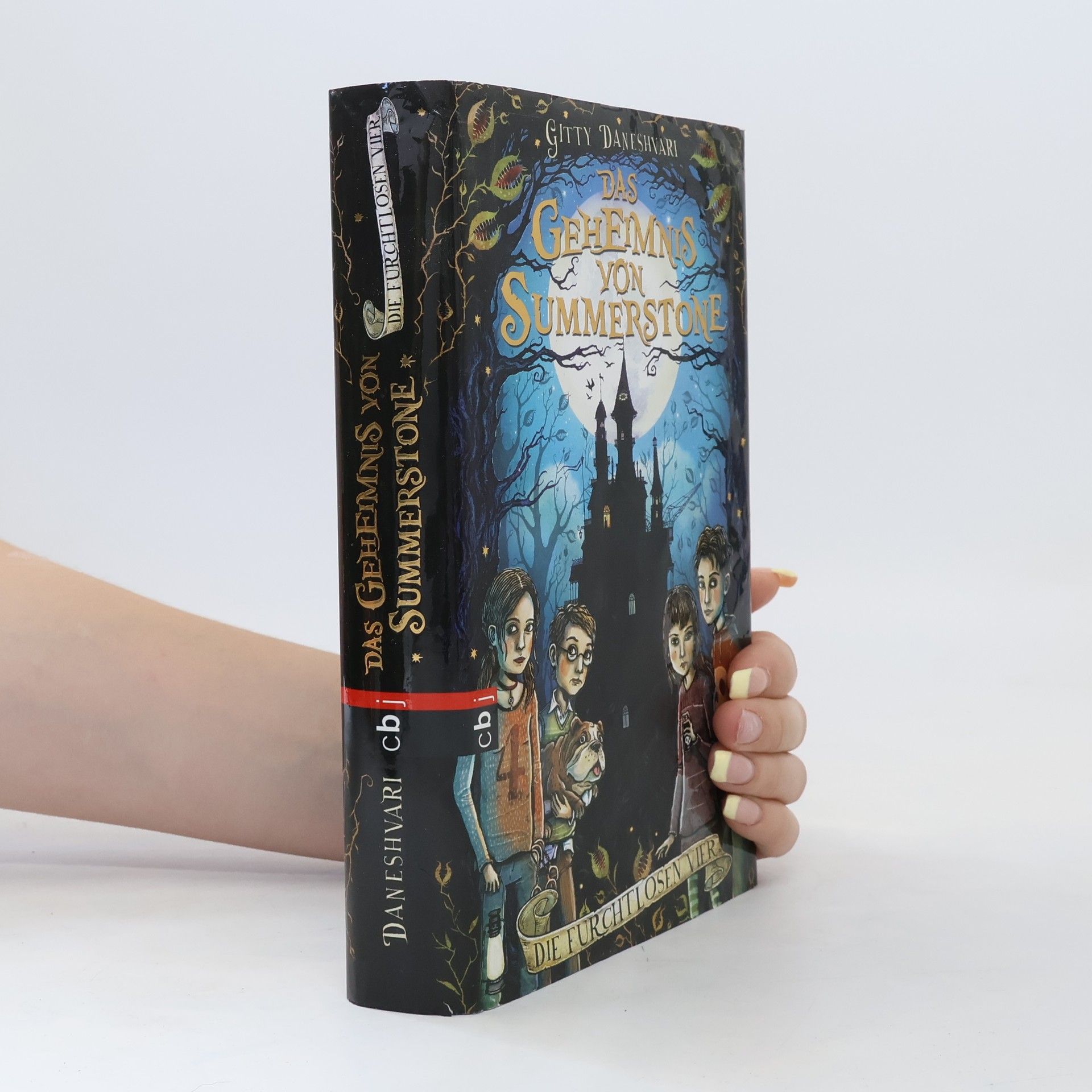 Gitty Daneshvari Das Geheimnis von Summerstone: Die furchtlosen Vier