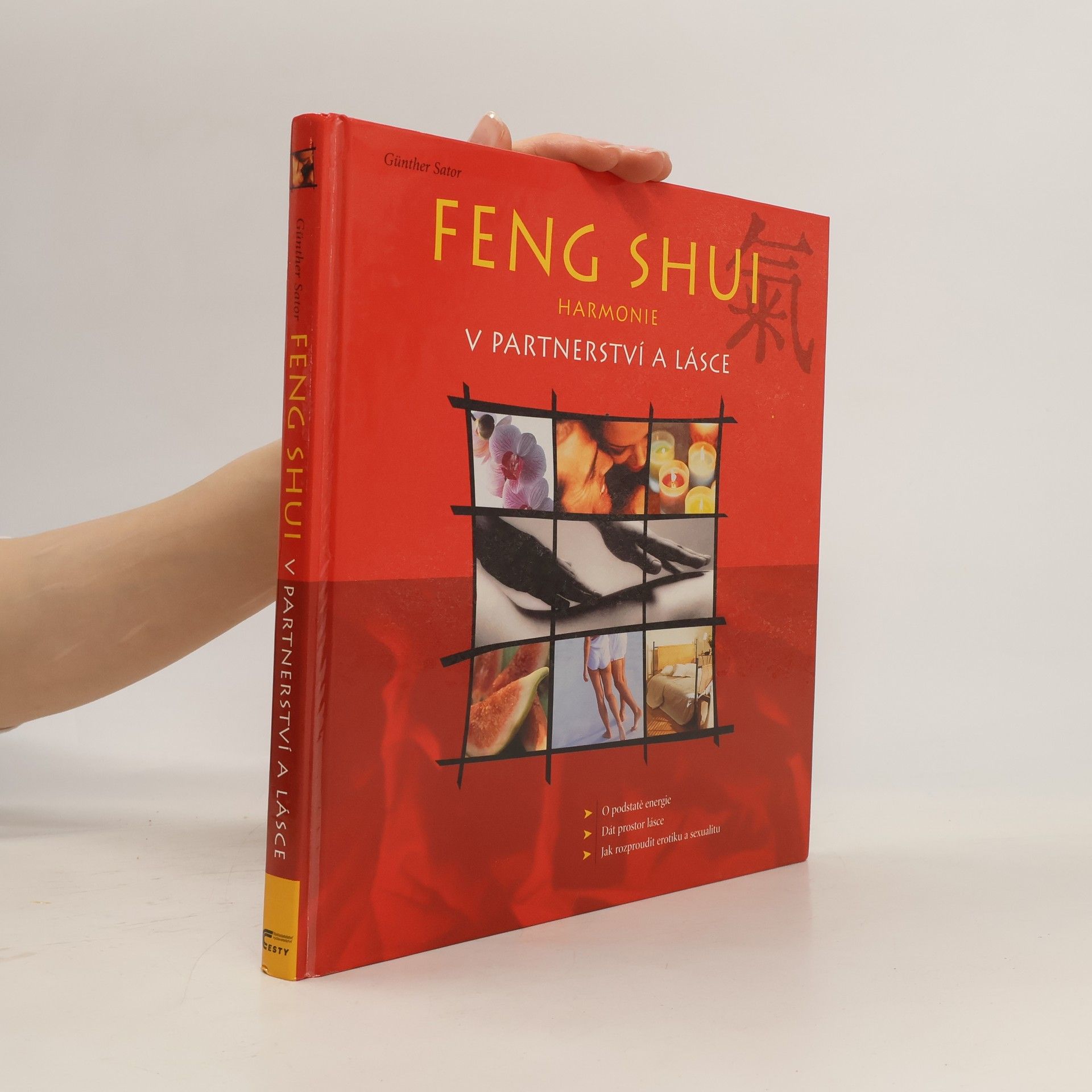 Günther Sator Feng shui. Harmonie v partnerství a lásce
