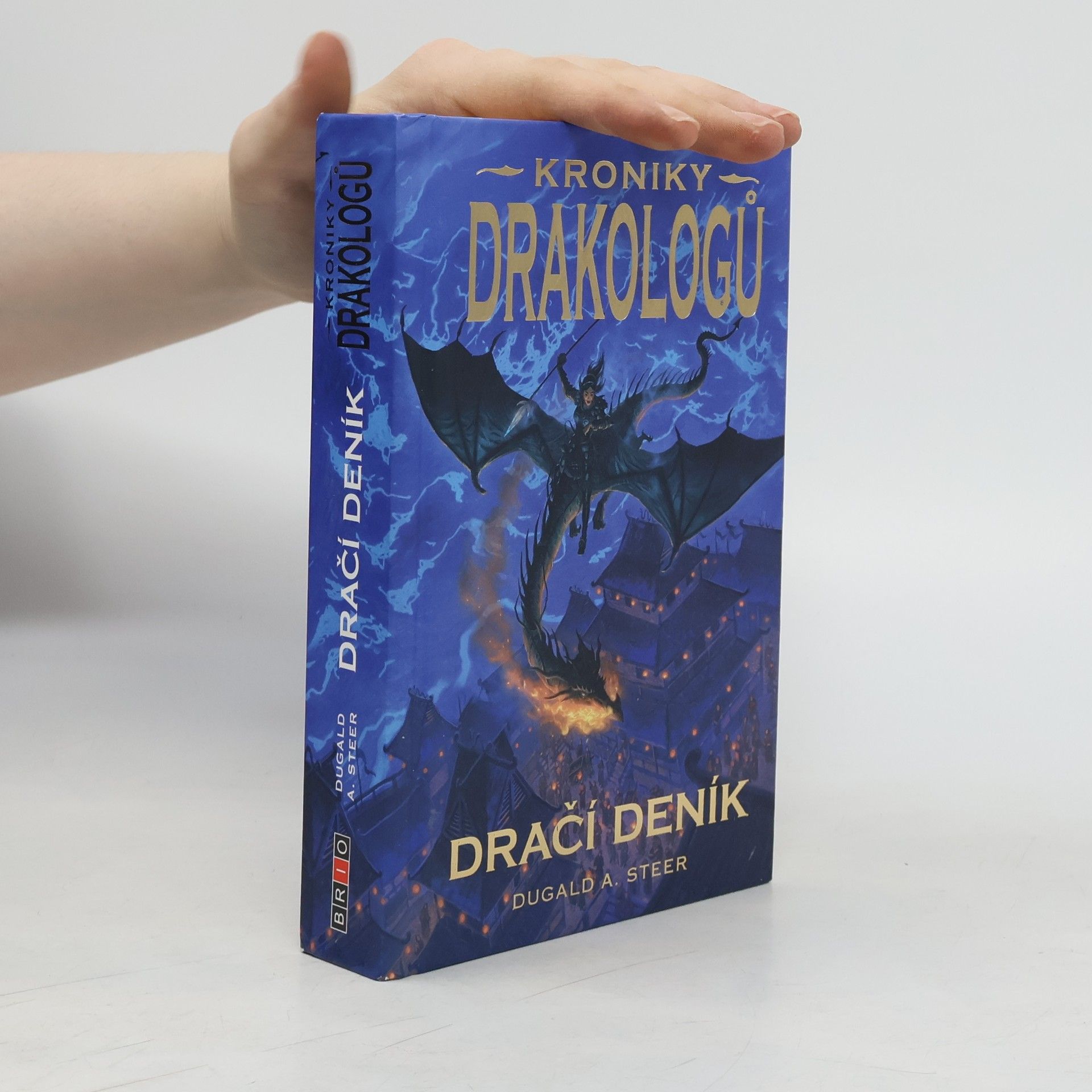 Dugald Steer Dračí deník