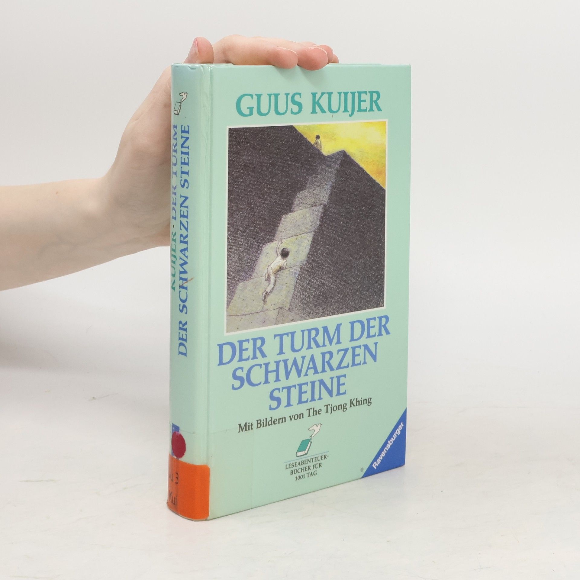 Guus Kuijer Der Turm der schwarzen Steine