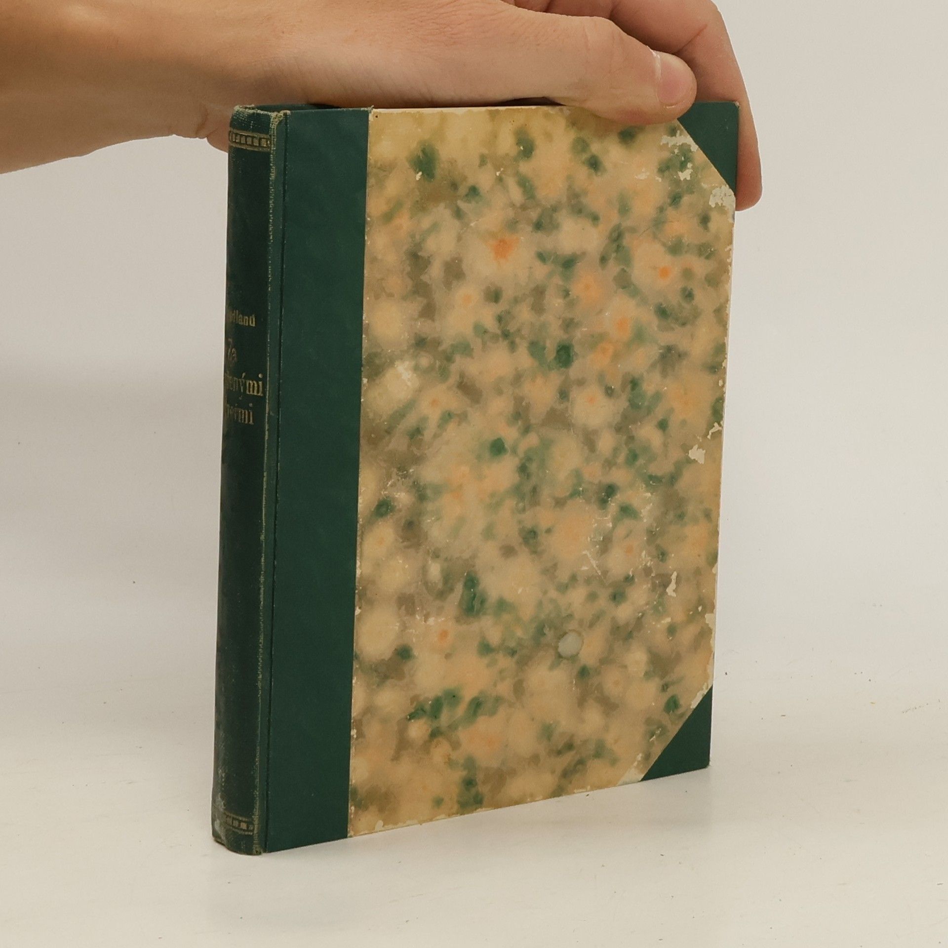 Louis Sigmund Friedland Za zavřenými dveřmi