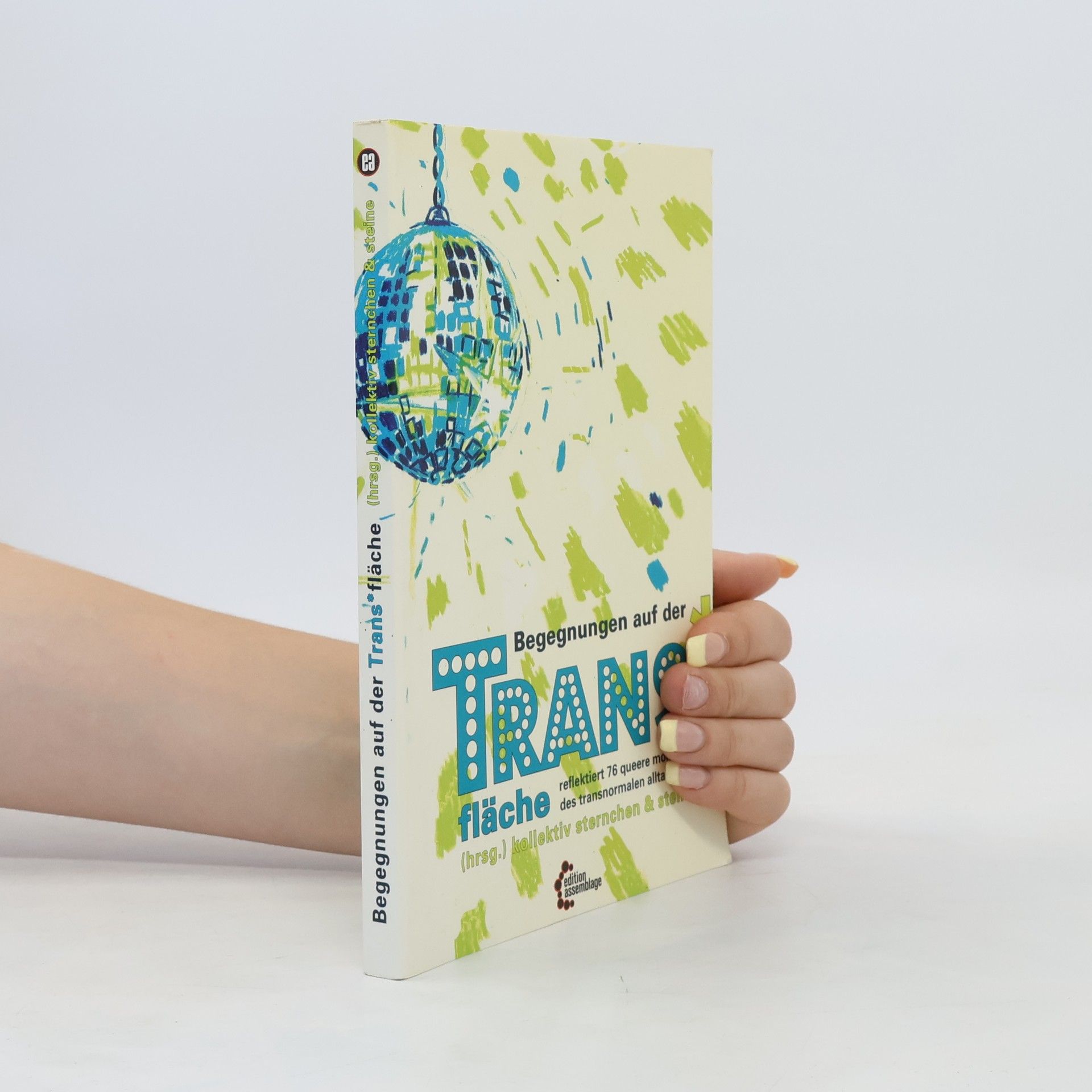Autorenkollektiv Begegnungen auf der Trans*fläche