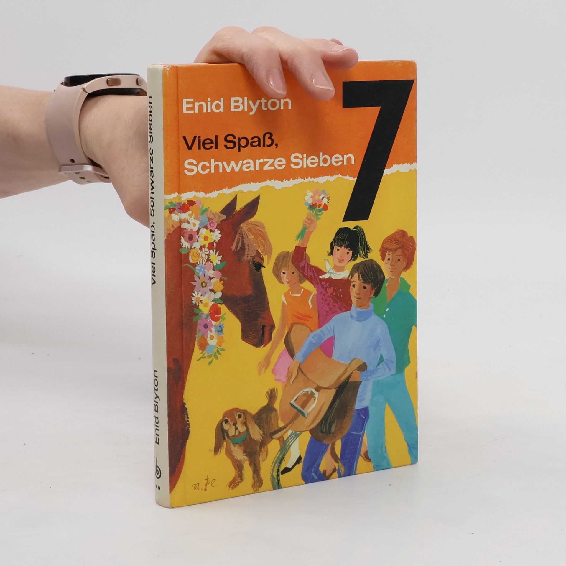 Enid Blyton Viel Spass, Schwarze Sieben