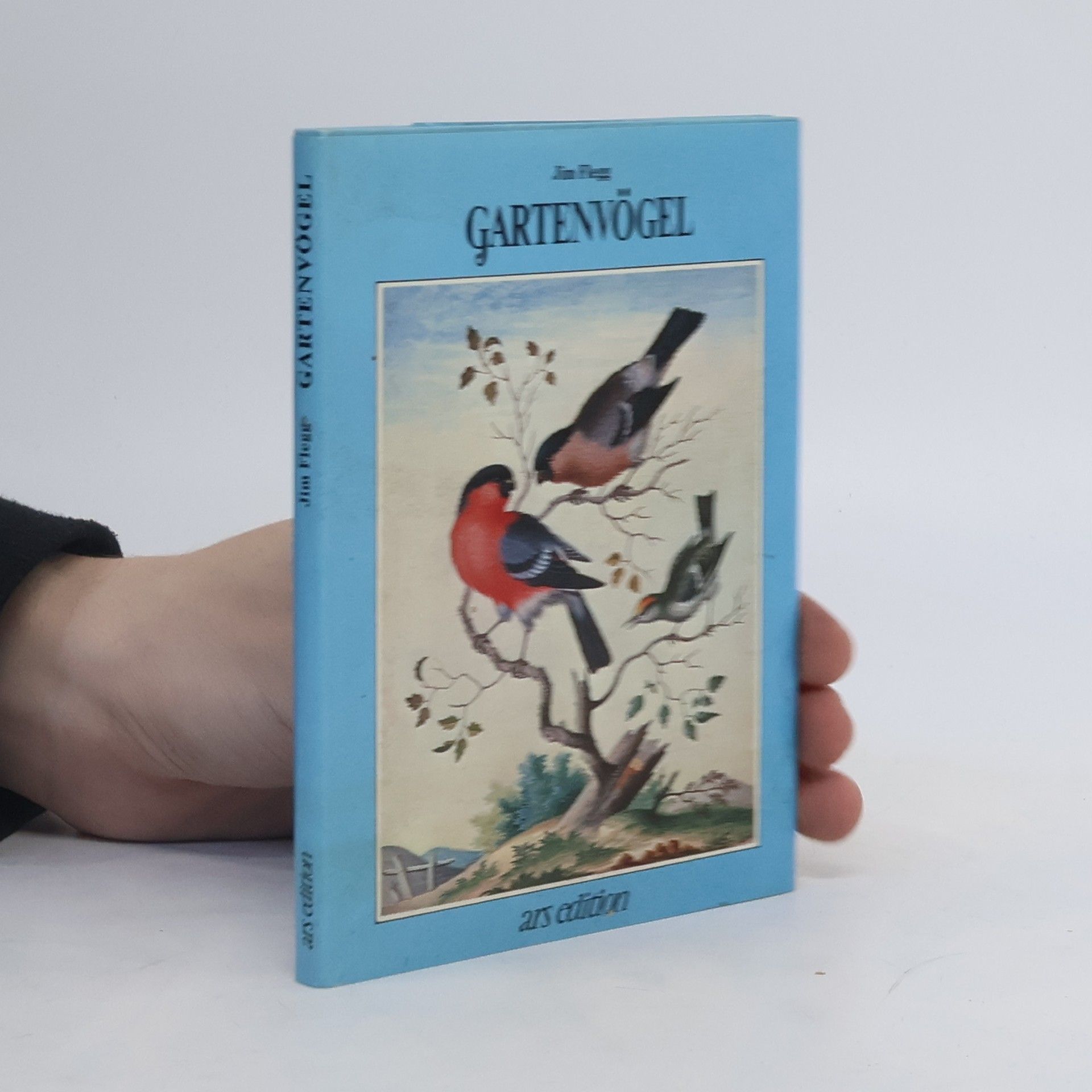 Jim Flegg Gartenvögel