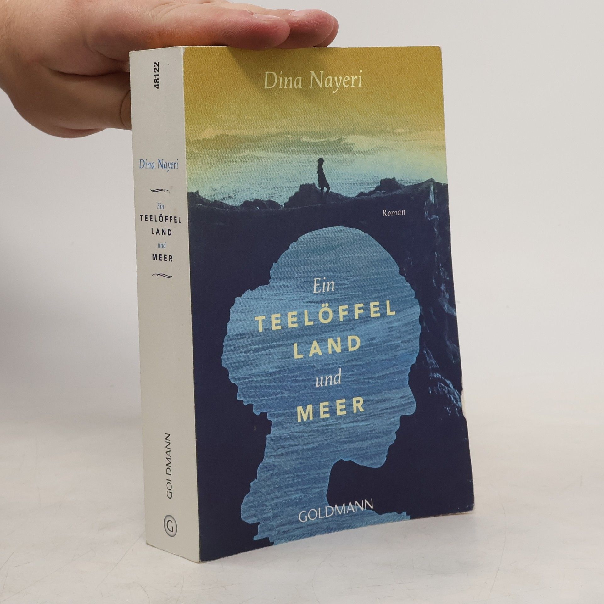 Dina Nayeri Ein Teelöffel Land und Meer