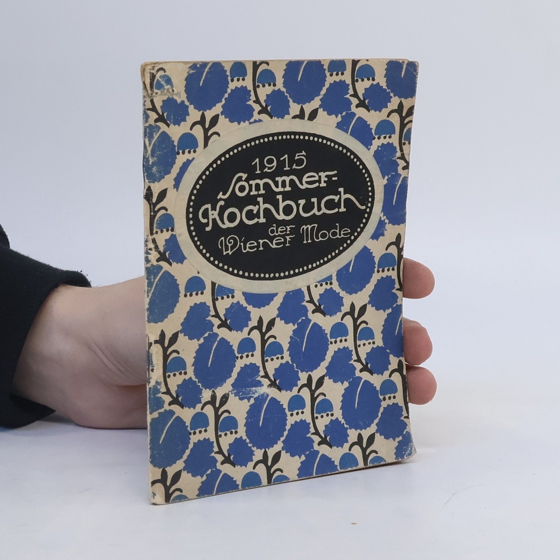 Marianne Stern 1915 Sommer Kochbuch der Wiener Mode