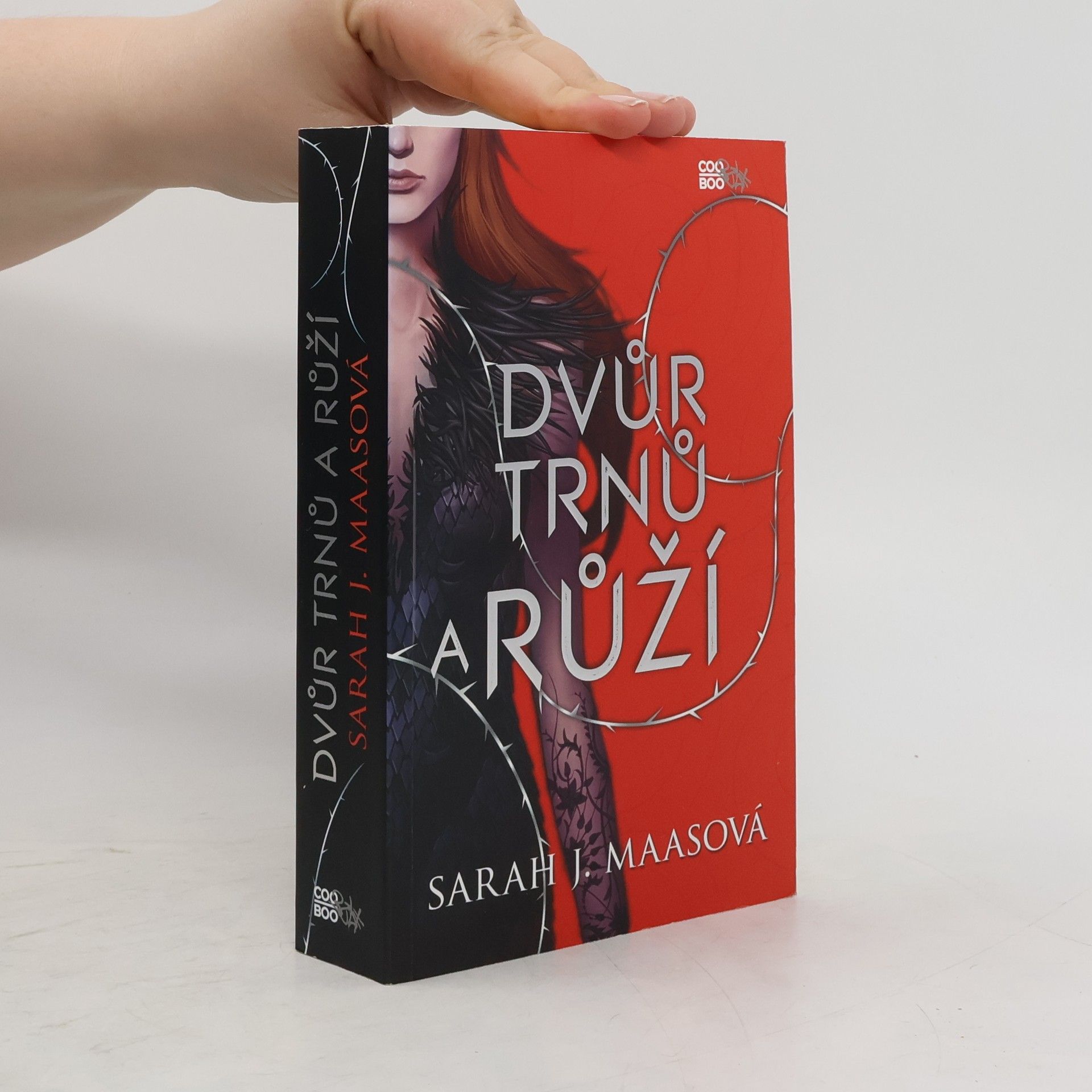 Sarah J. Maas Dvůr trnů a růží