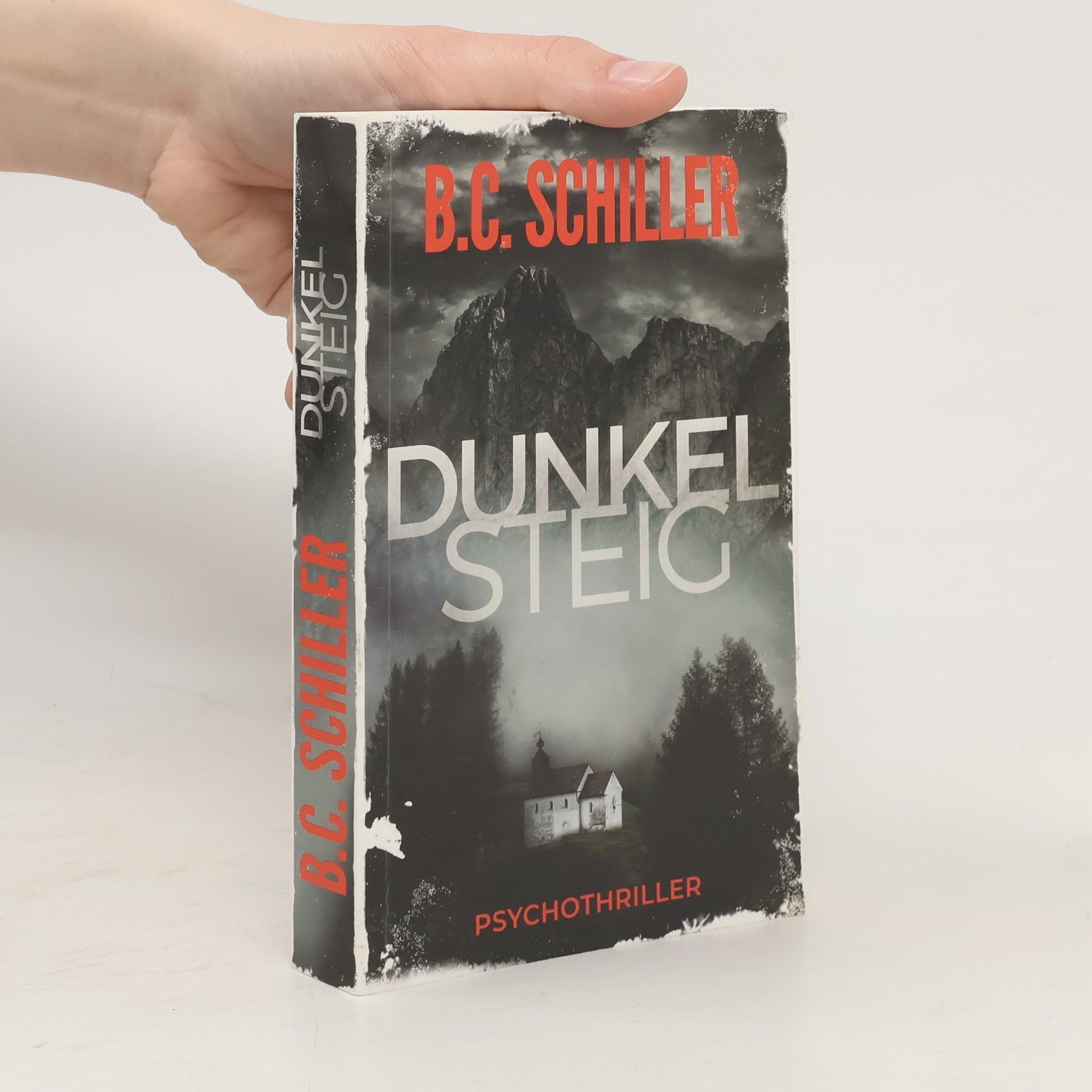 B. C. Schiller Dunkelstieg