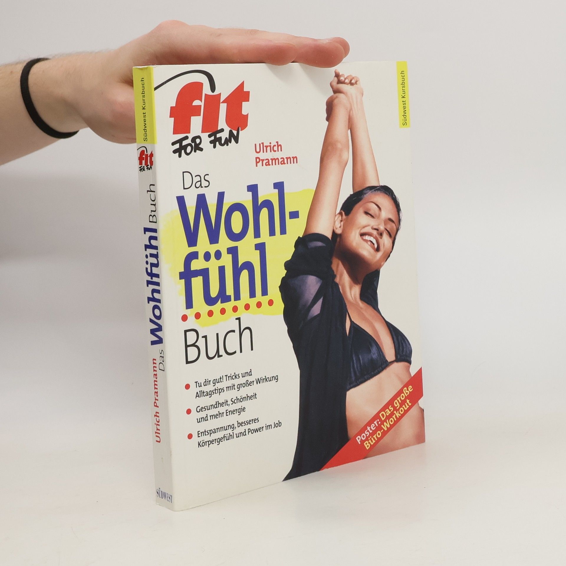 Ulrich Pramann Das Wohlfühl-Buch
