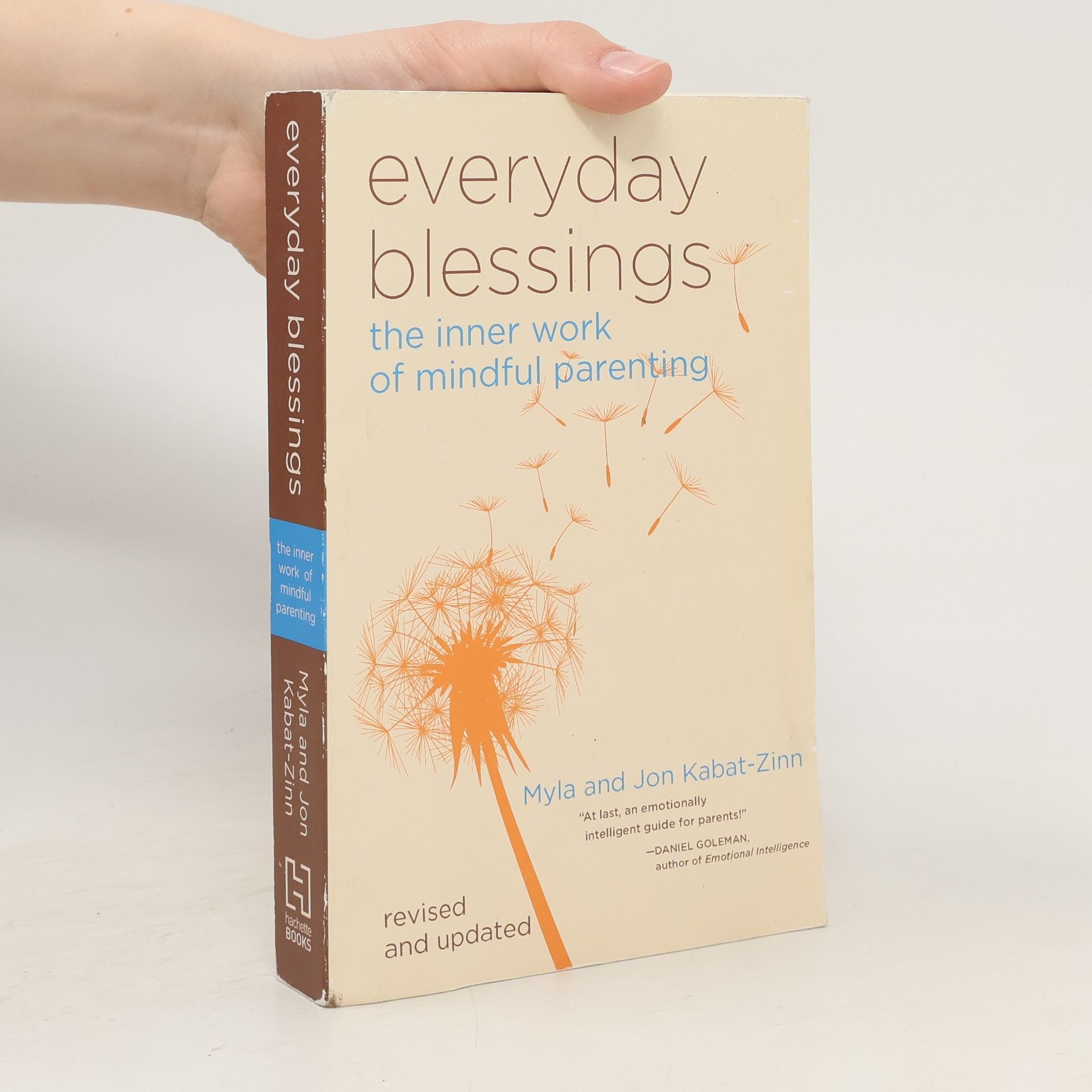 Myla Kabat zinn Everyday Blessings