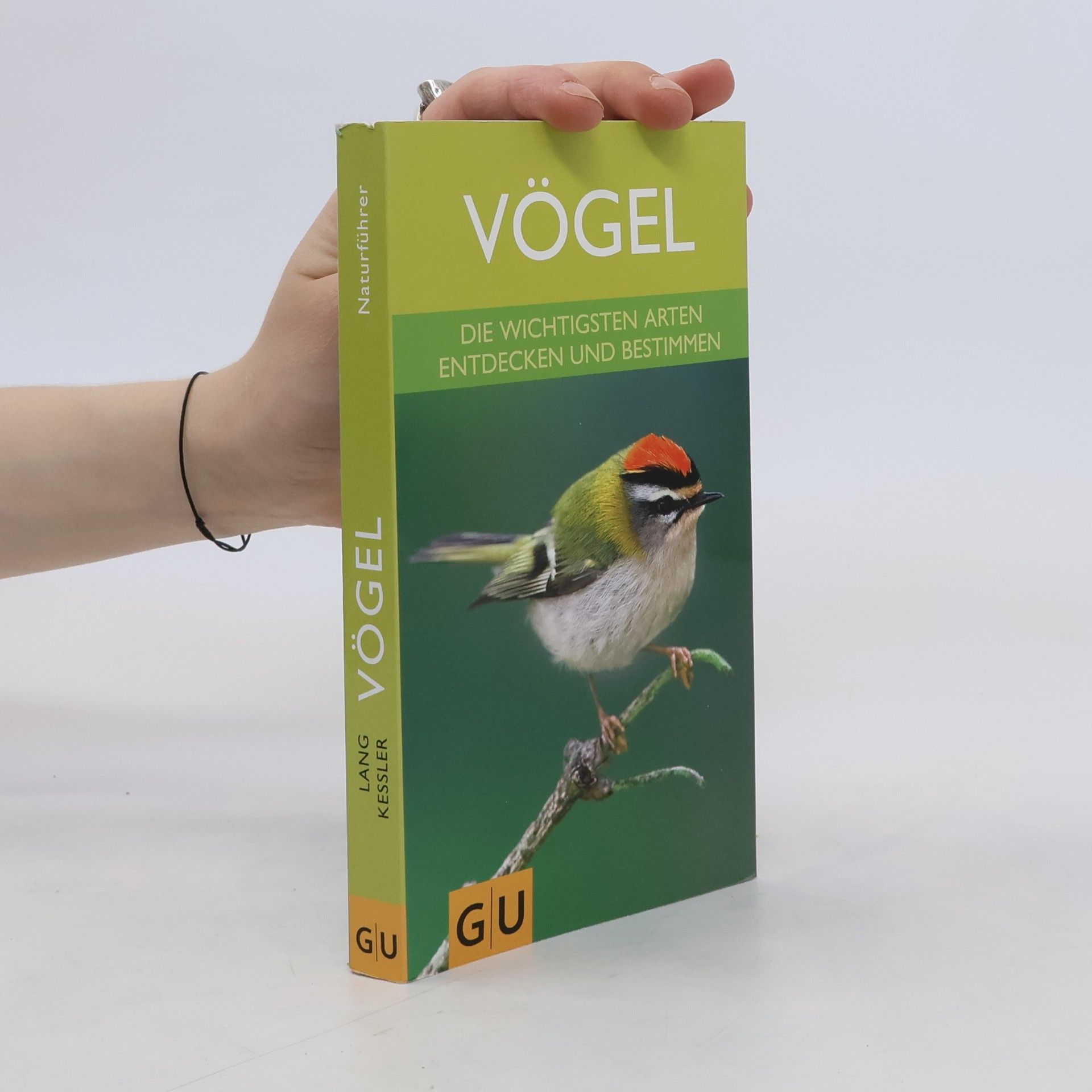 Autores varios Vögel. Die wichtigsten Arten entdecken und bestimmen